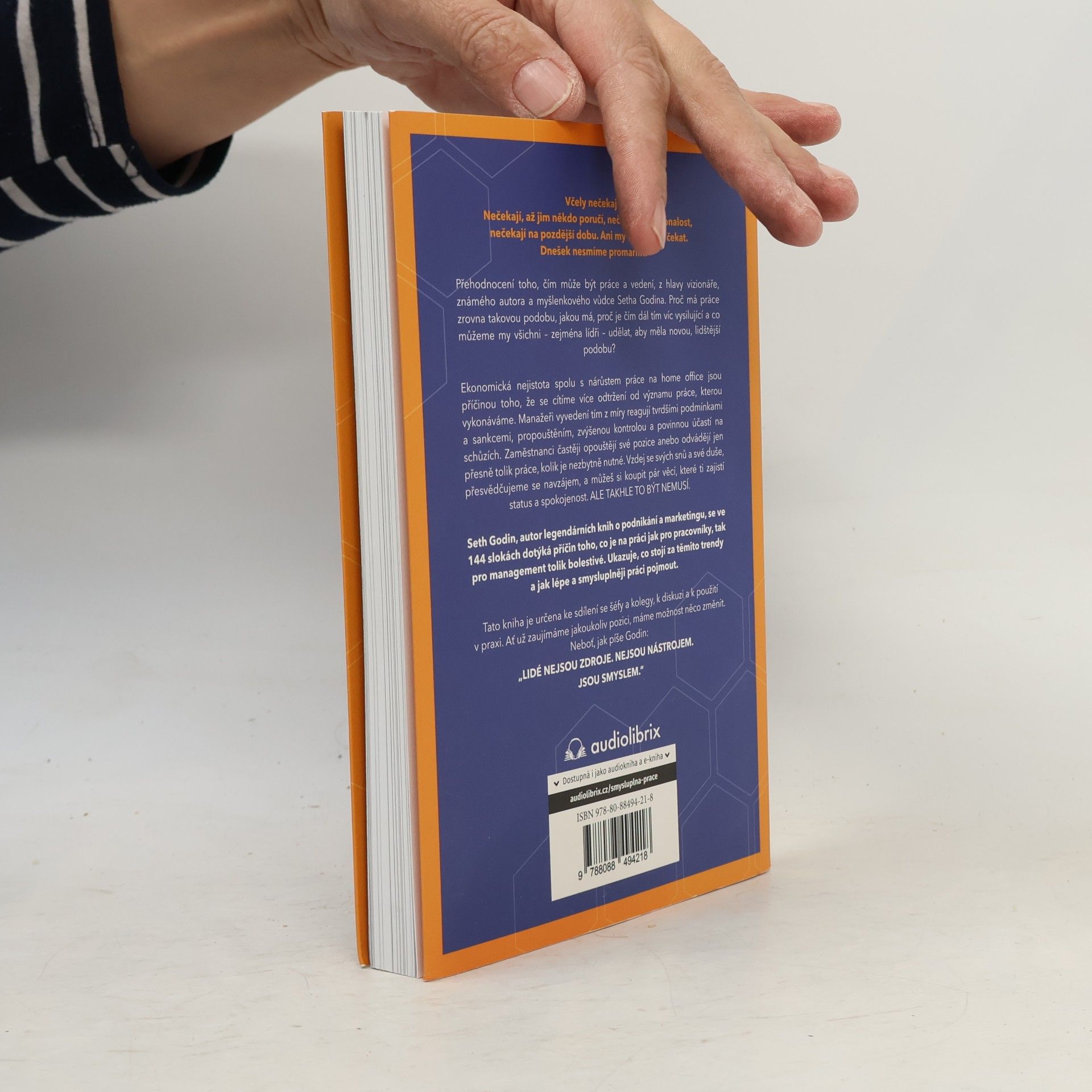 Seth Godin Smysluplná práce : manifest pro týmy v 21. století