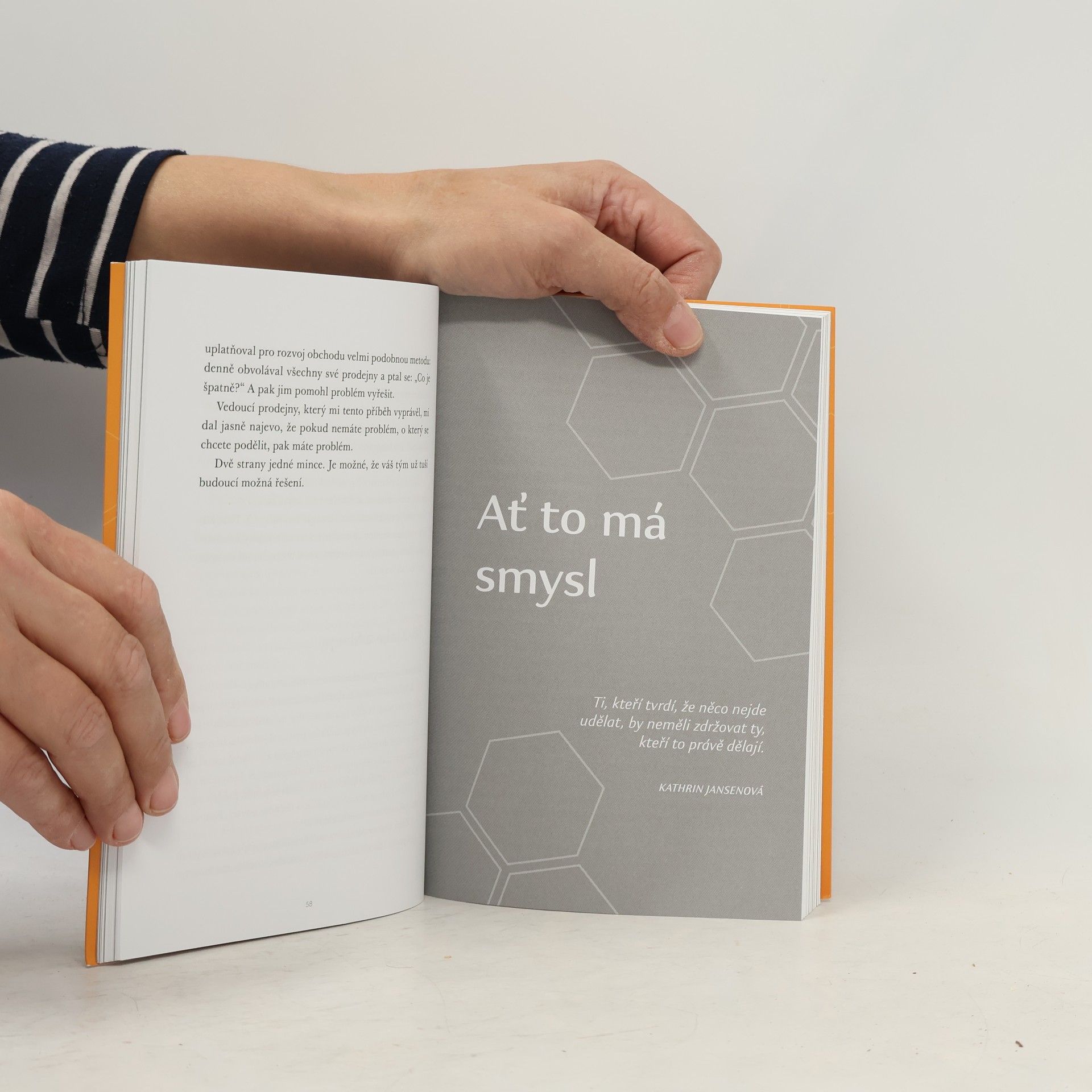 Seth Godin Smysluplná práce : manifest pro týmy v 21. století