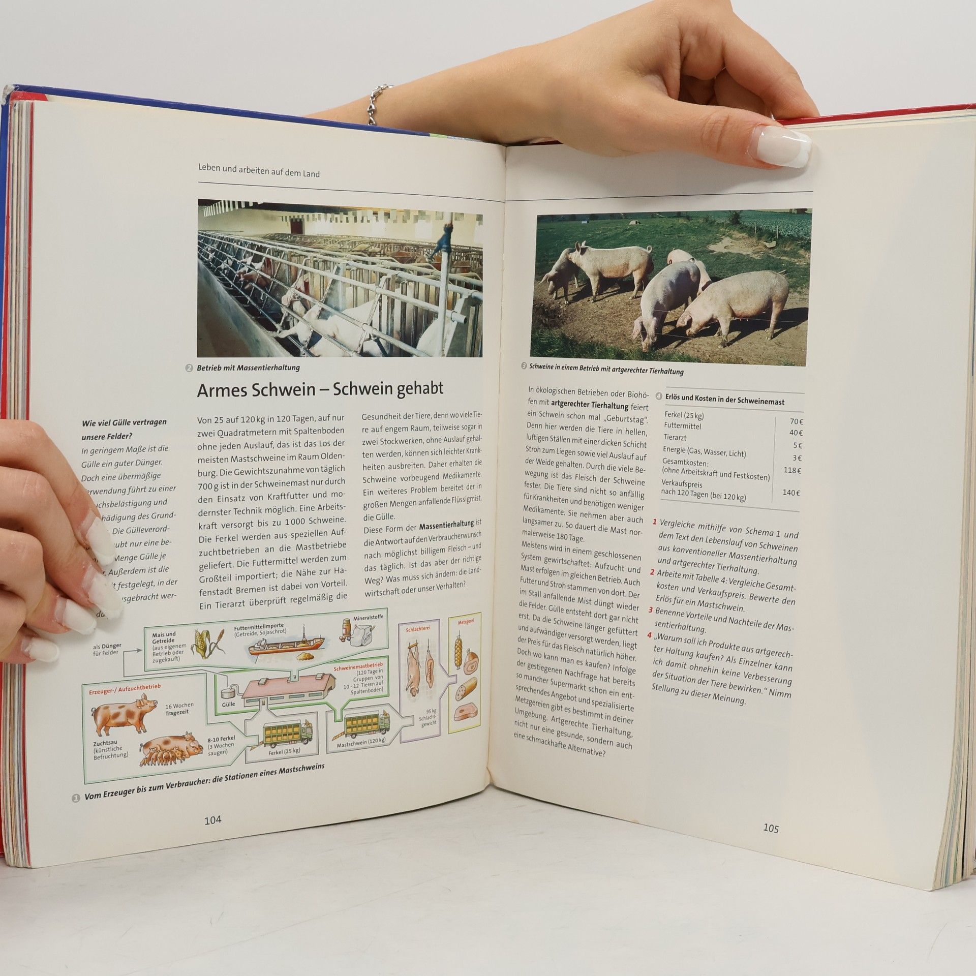 Bernd Haberlag Terra Erdkunde für Niedersachsen - Neubearbeitung. Schülerbuch 5./6. Schuljahr. Ausgabe für Gymnasien
