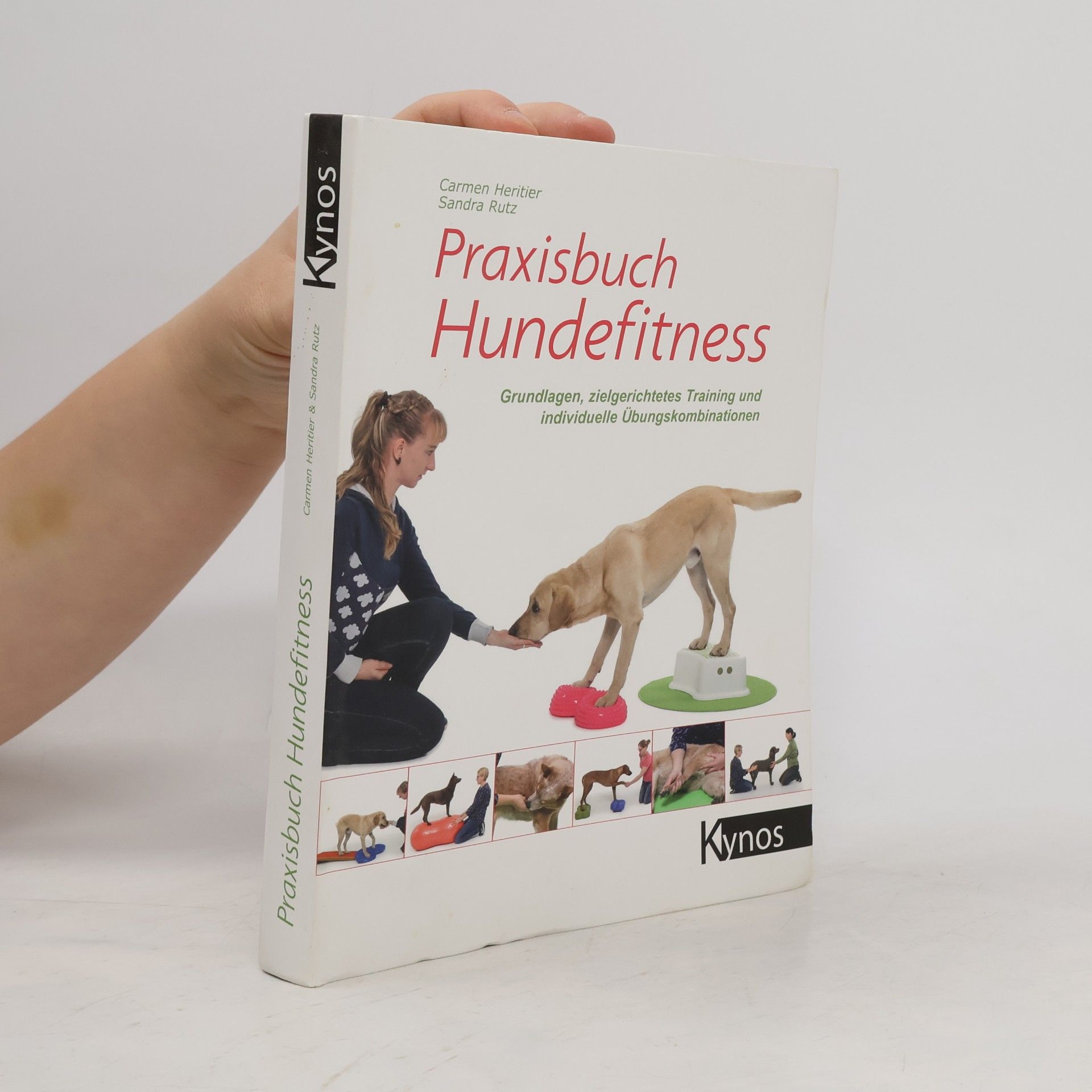 Praxisbuch Hundefitness