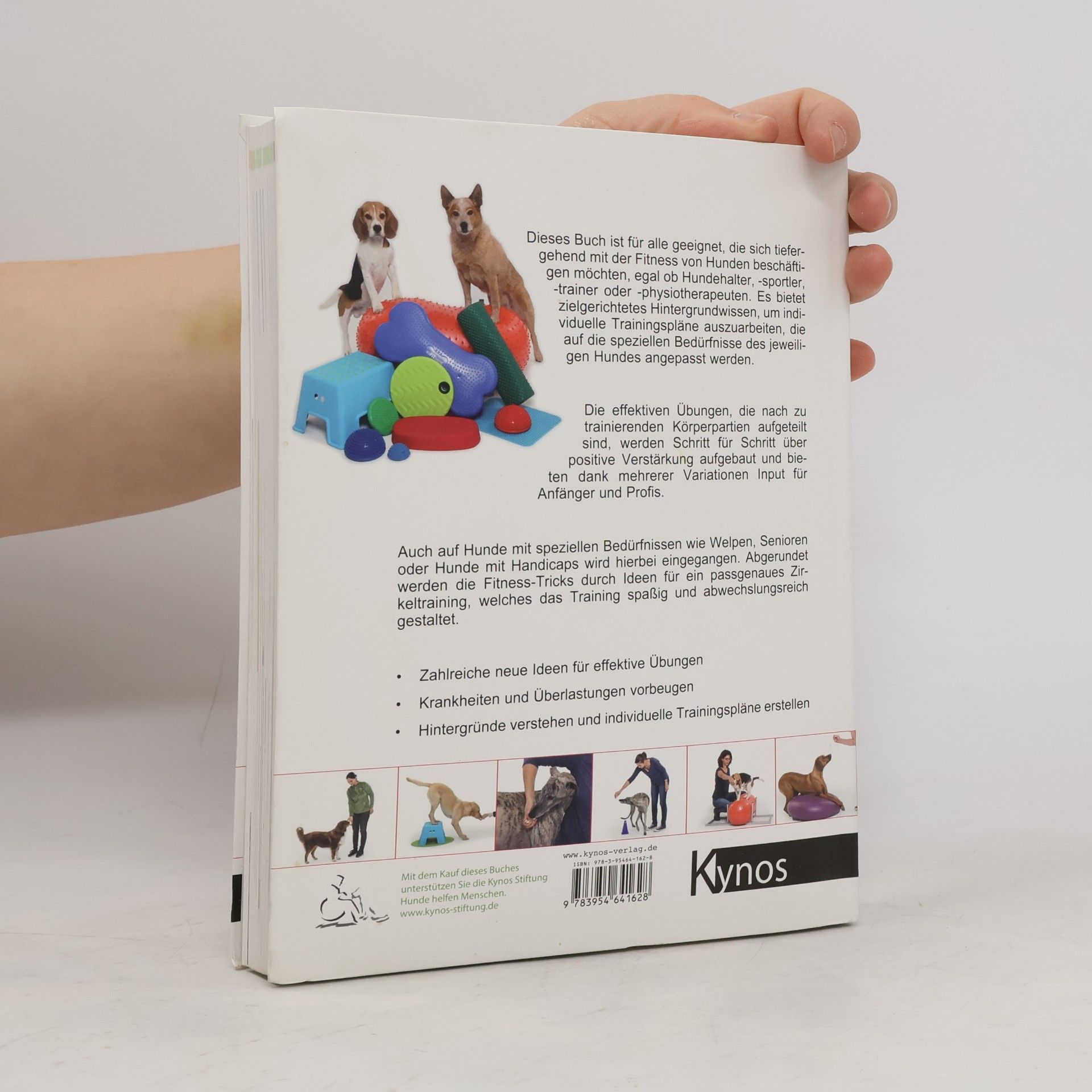 Carmen Mayer Praxisbuch Hundefitness