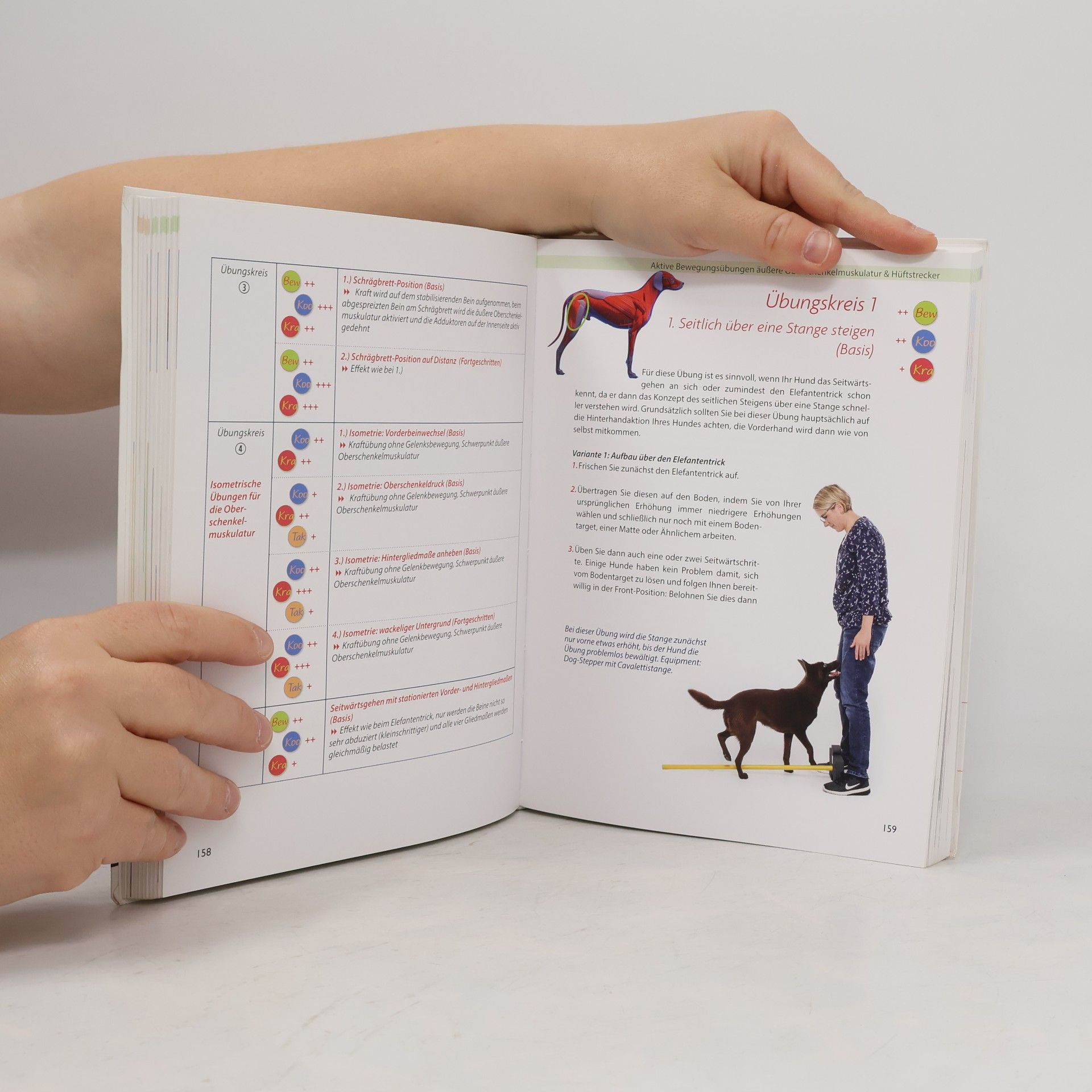 Carmen Mayer Praxisbuch Hundefitness