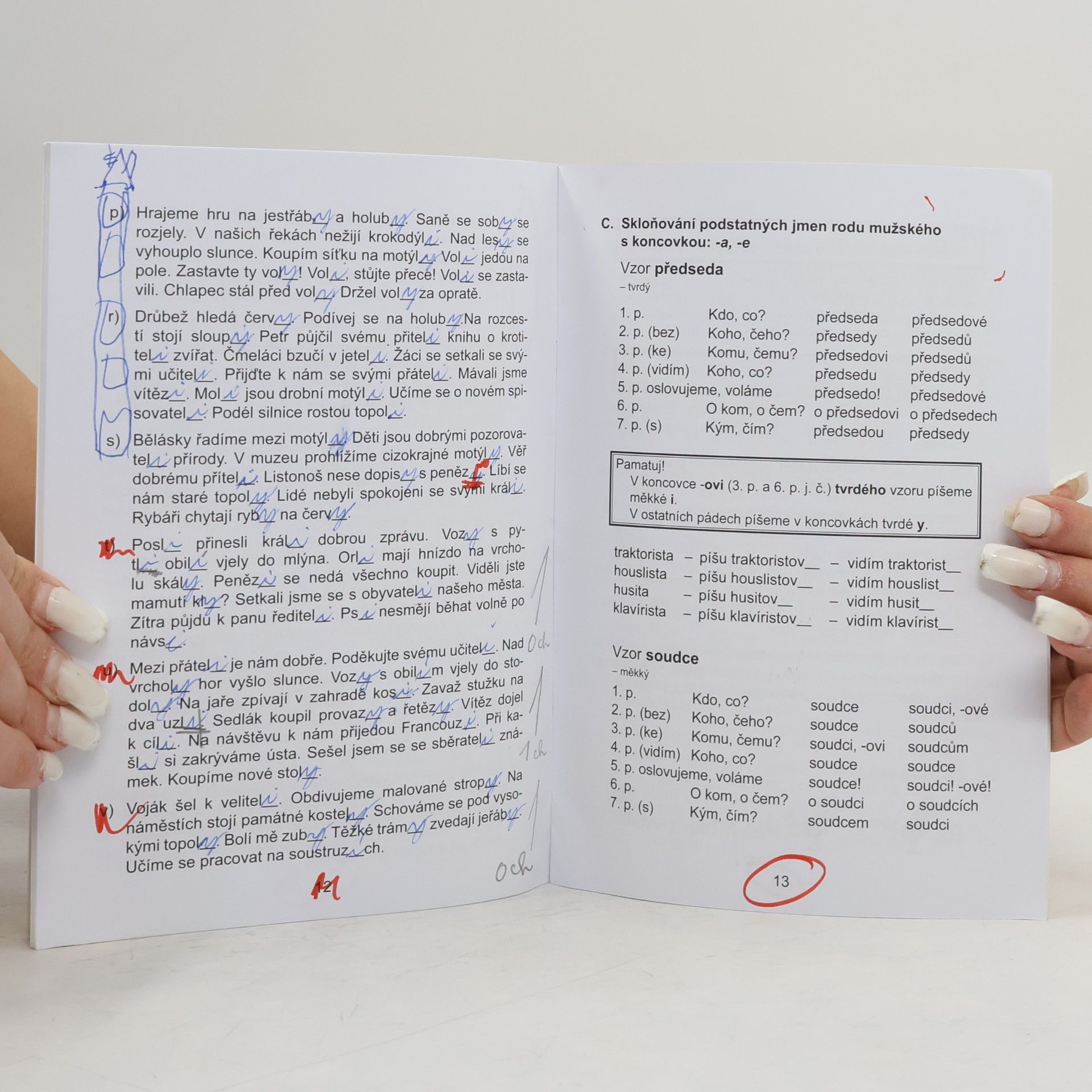 kolektiv Pravopis podstatných jmen rodu mužského Pracovní sešit pro 4. ročník