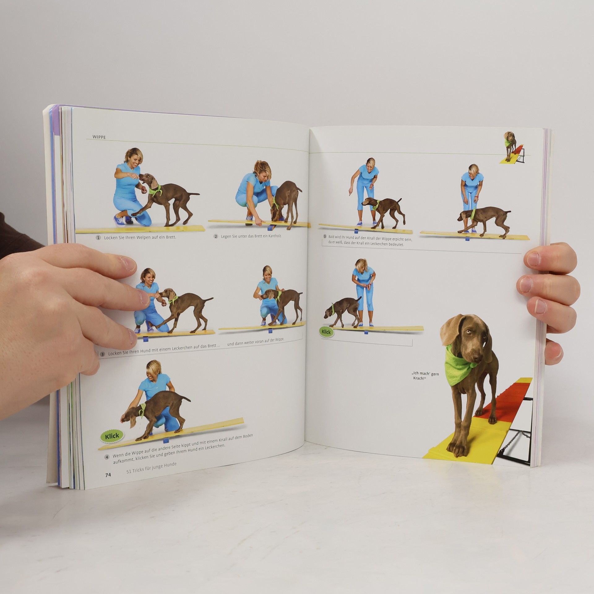 Kyra Sundance 51 Tricks für junge Hunde