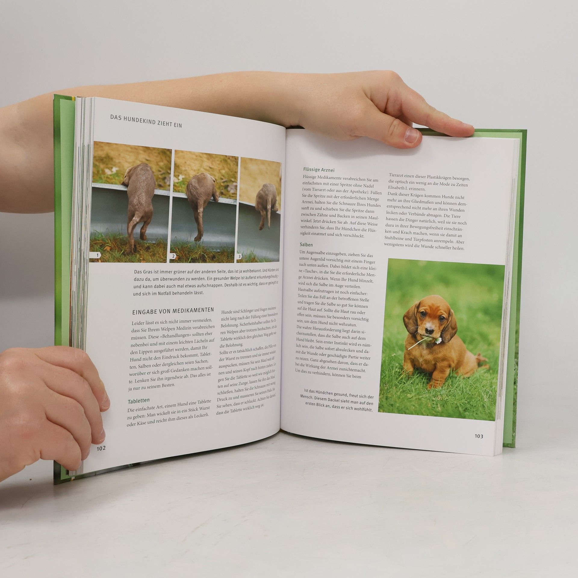 Katharina Leyen Welpen Praxisbuch