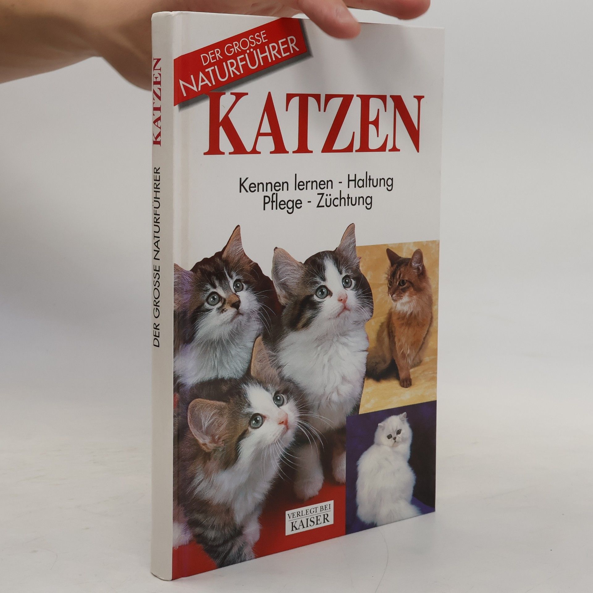 Kolektiv autorů Katzen. Kennen lernen, Haltung, Pflege, Züchtung