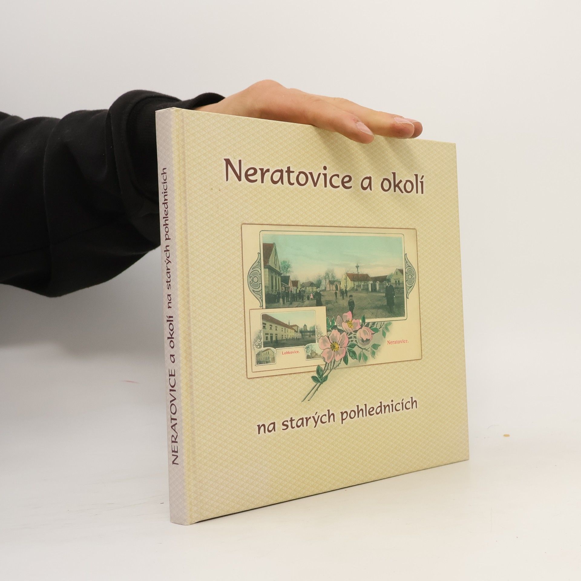 AA.VV. Neratovice a okolí na starých pohlednicích