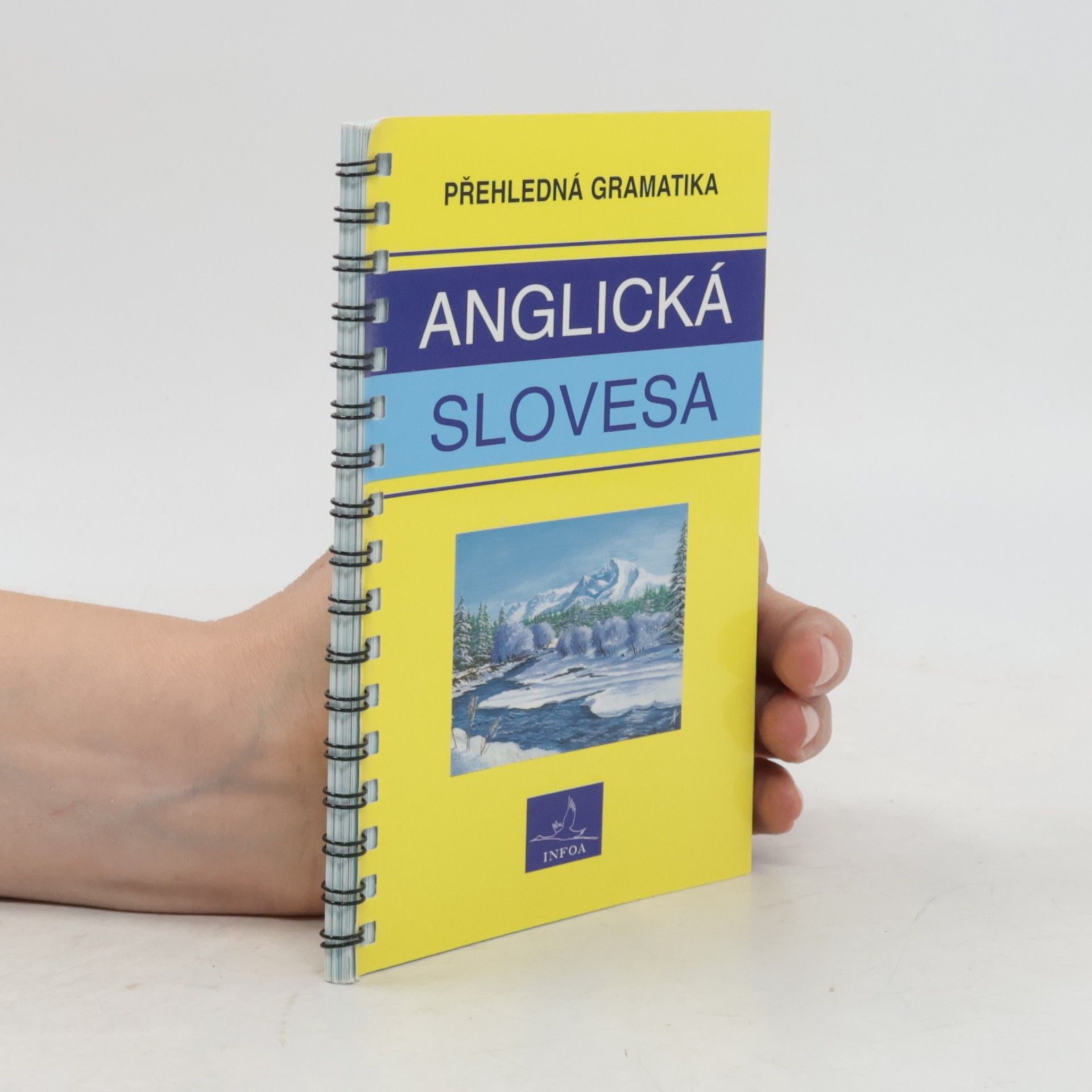 Various authors Anglická slovesa : přehledná gramatika
