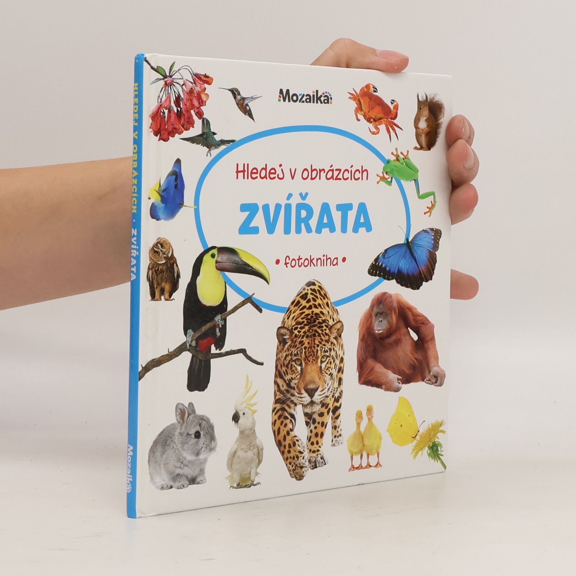 Auteurscollectief Hledej v obrázcích: Zvířata (fotokniha)