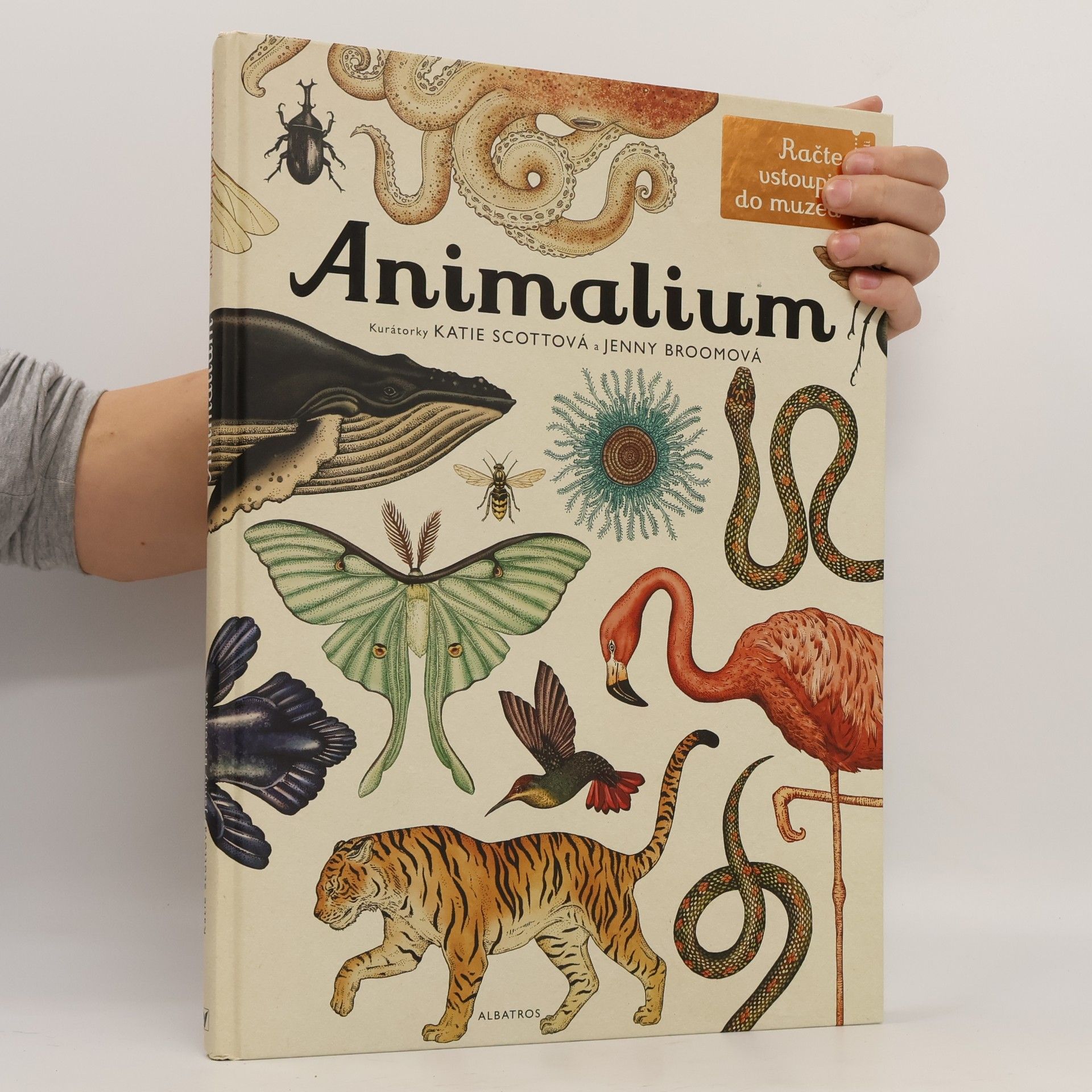 Animalium