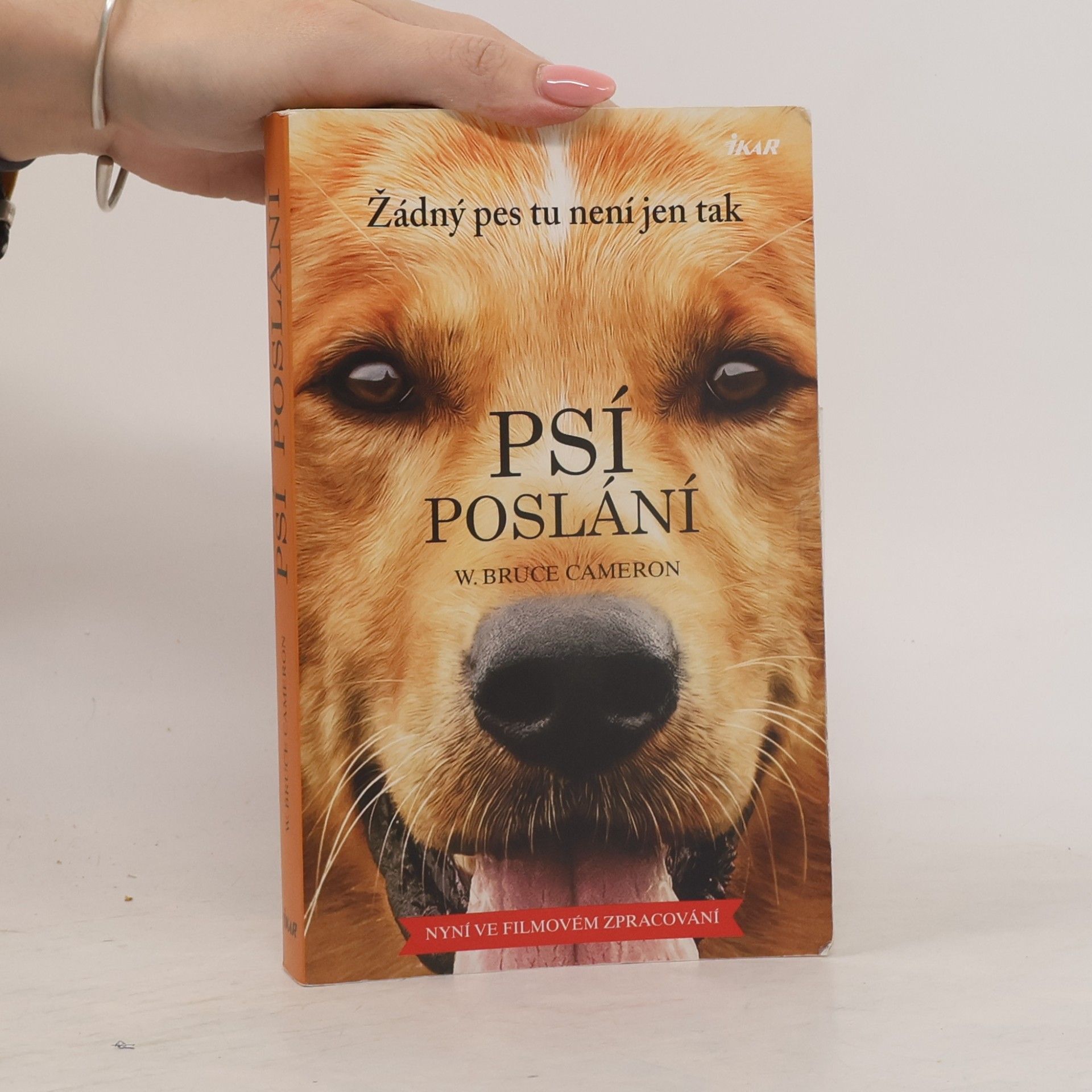 W. Bruce Cameron Psí poslání. Žádný pes tu není jen tak