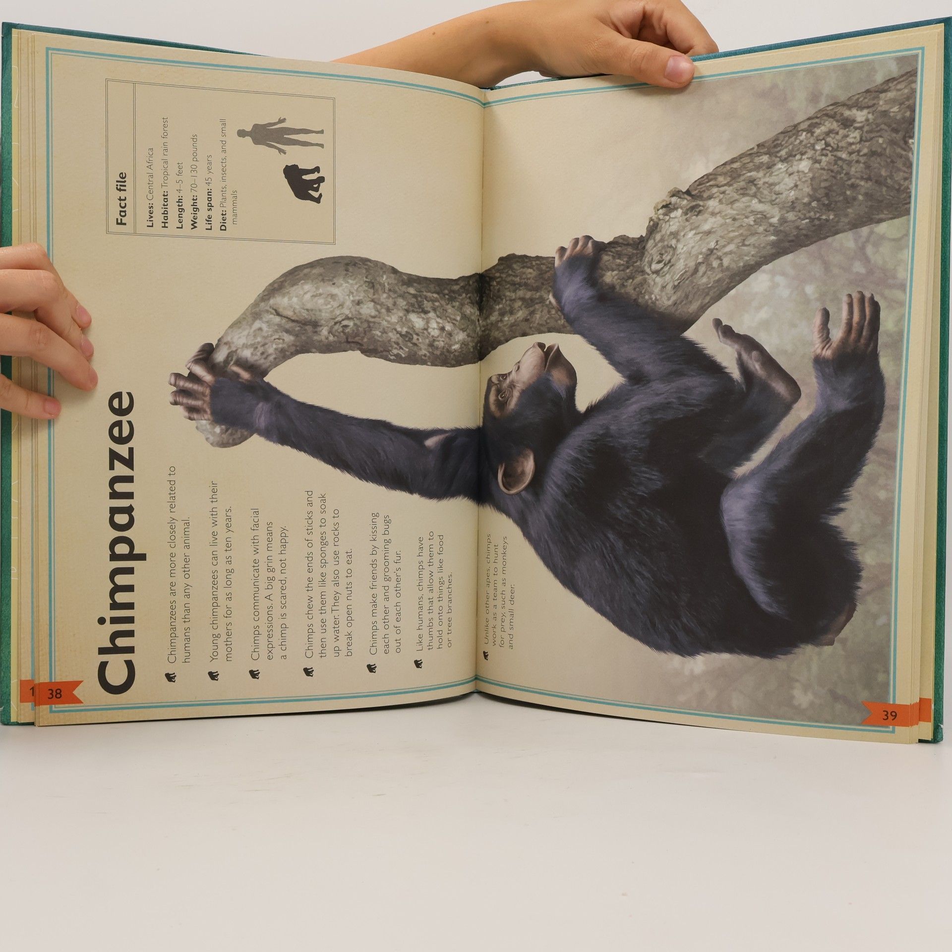 Jackson Tom The Magnificent Book of Animals