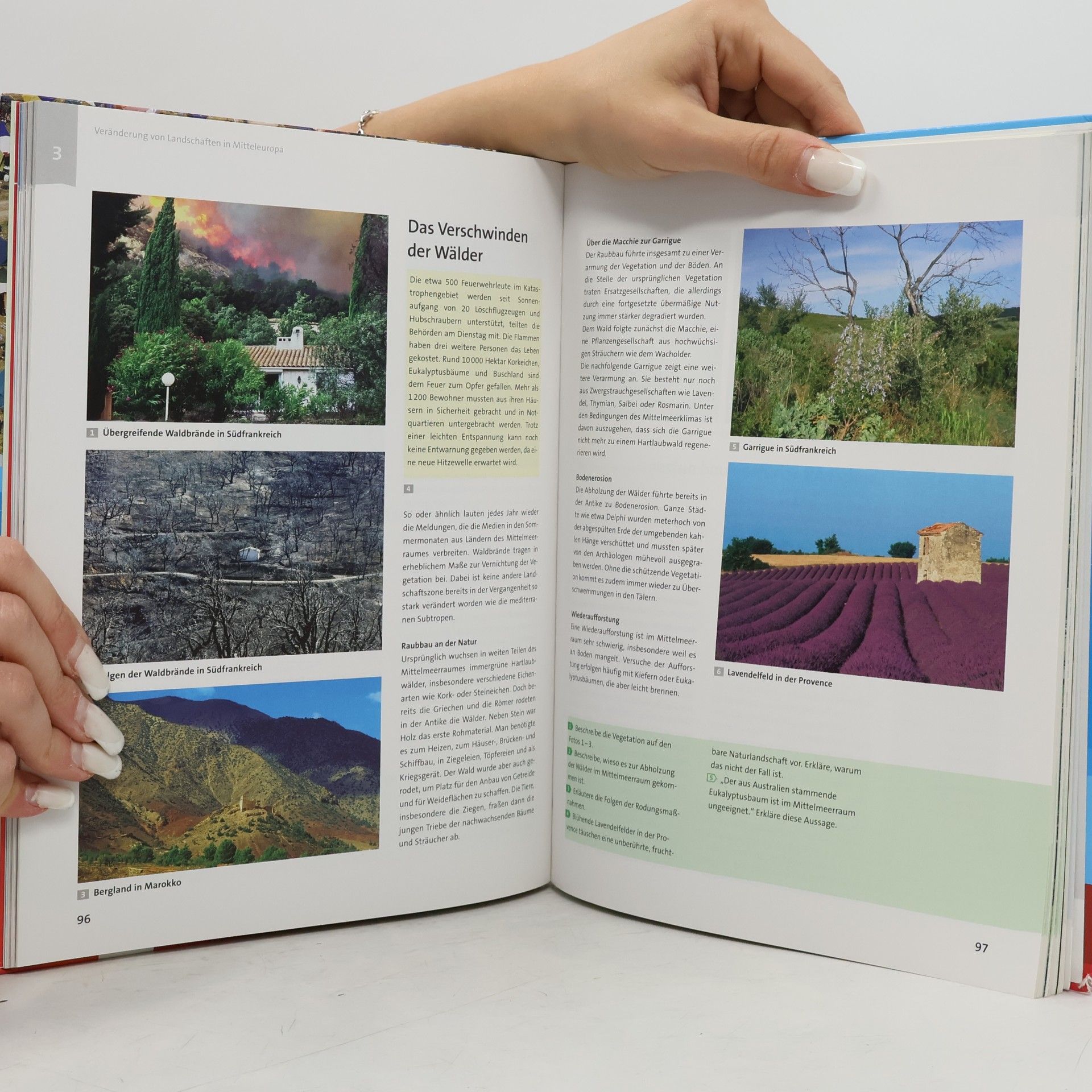 Autorenkollektiv TERRA Geographie für Thüringen - Ausgabe für Gymnasien (Neue Ausgabe). Schülerbuch 9./10. Schuljahr