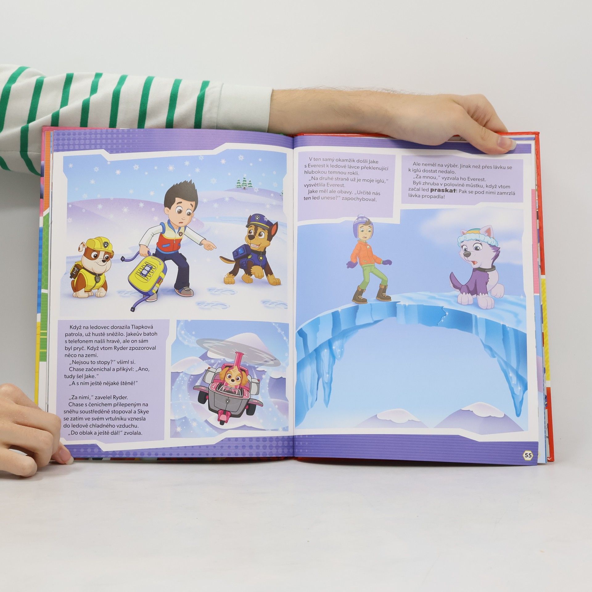 Autorenkollektiv Tlapková patrola - Knížka na celý rok
