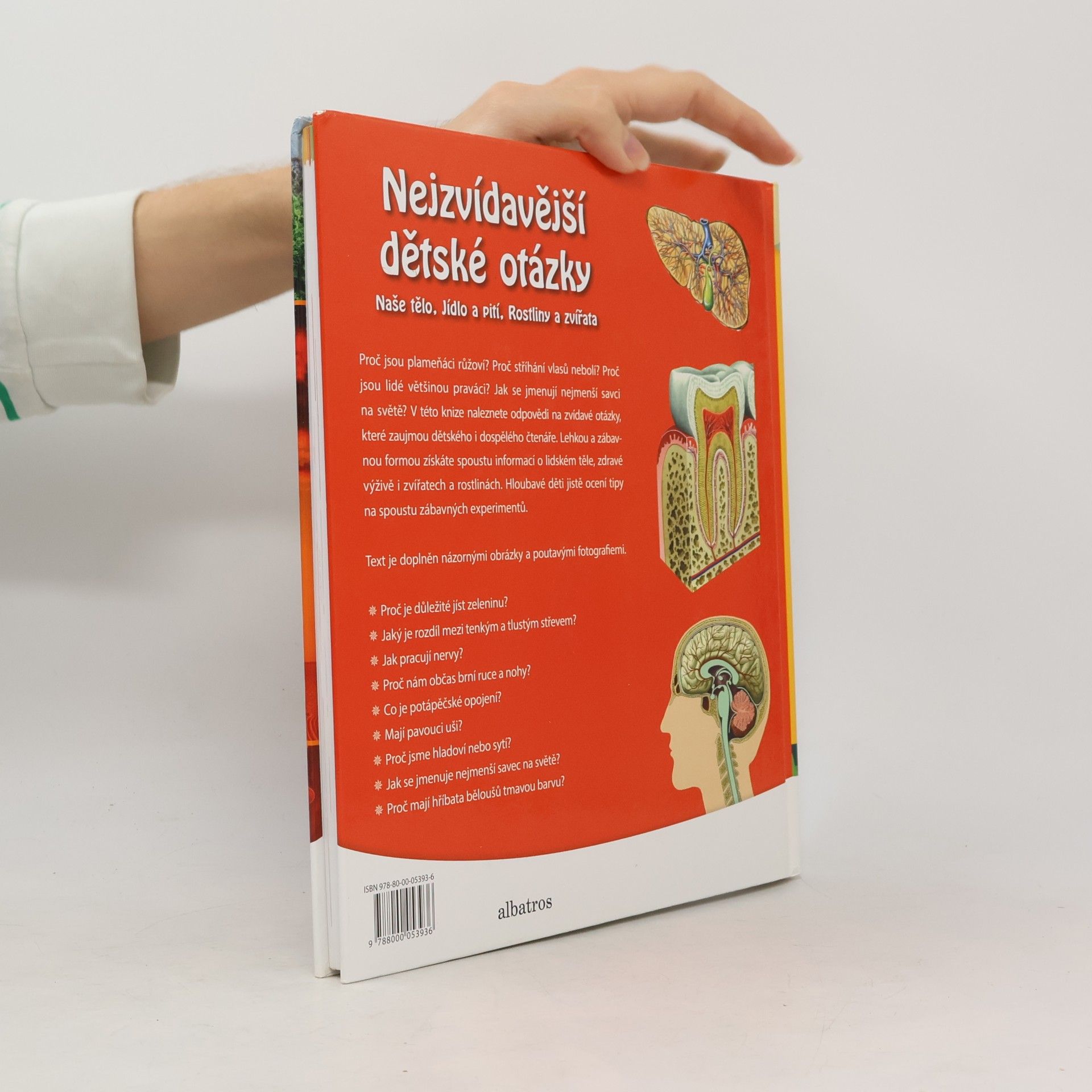 Autorenkollektiv Nejzvídavější dětské otázky
