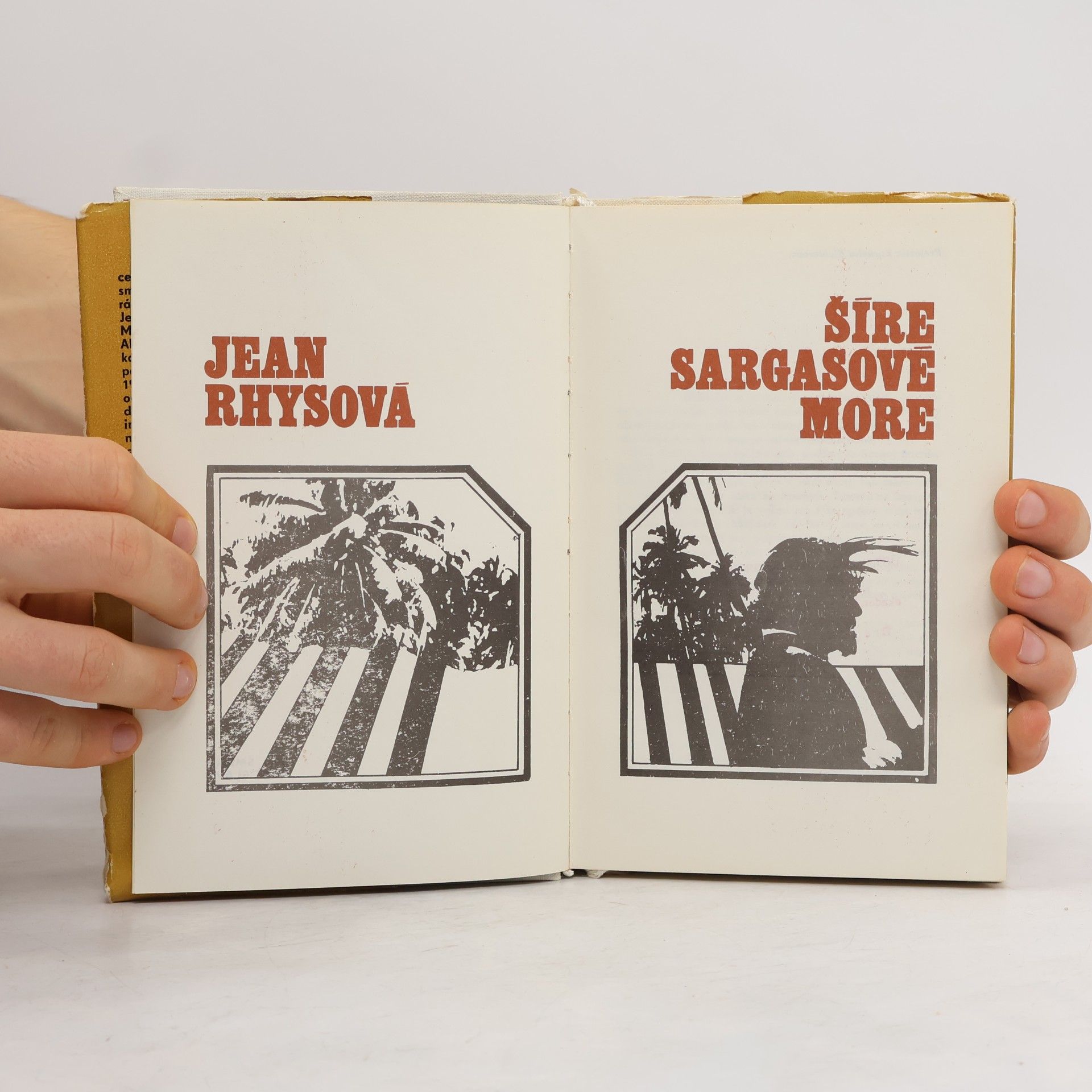 Jean Rhys Šíre sargasové more