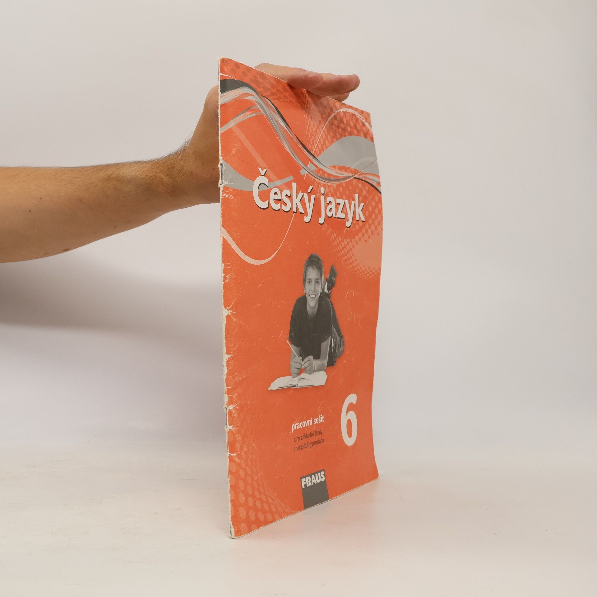 Český jazyk 6 : pracovní sešit : pro základní školy a víceletá gymnázia