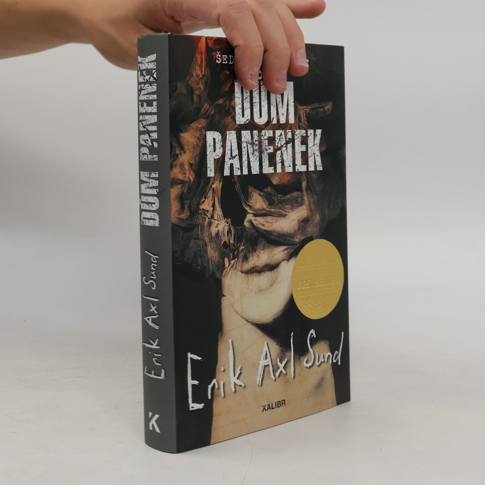 Erik Axl Sund Dům panenek