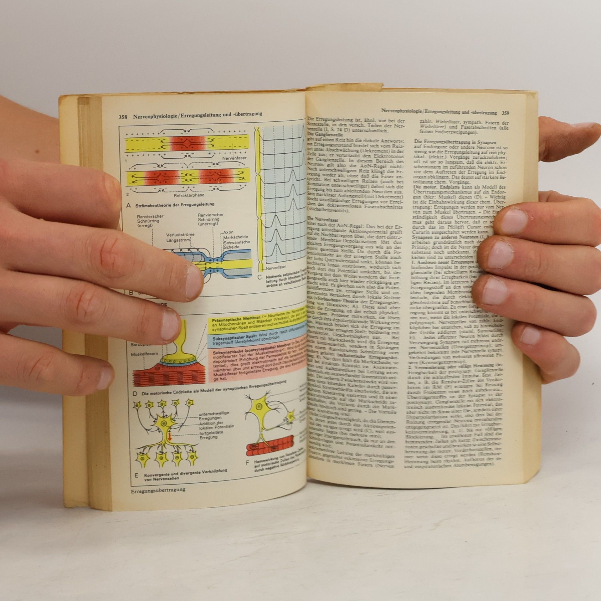 Günter Vogel Taschenbuch der Biologie. Band II