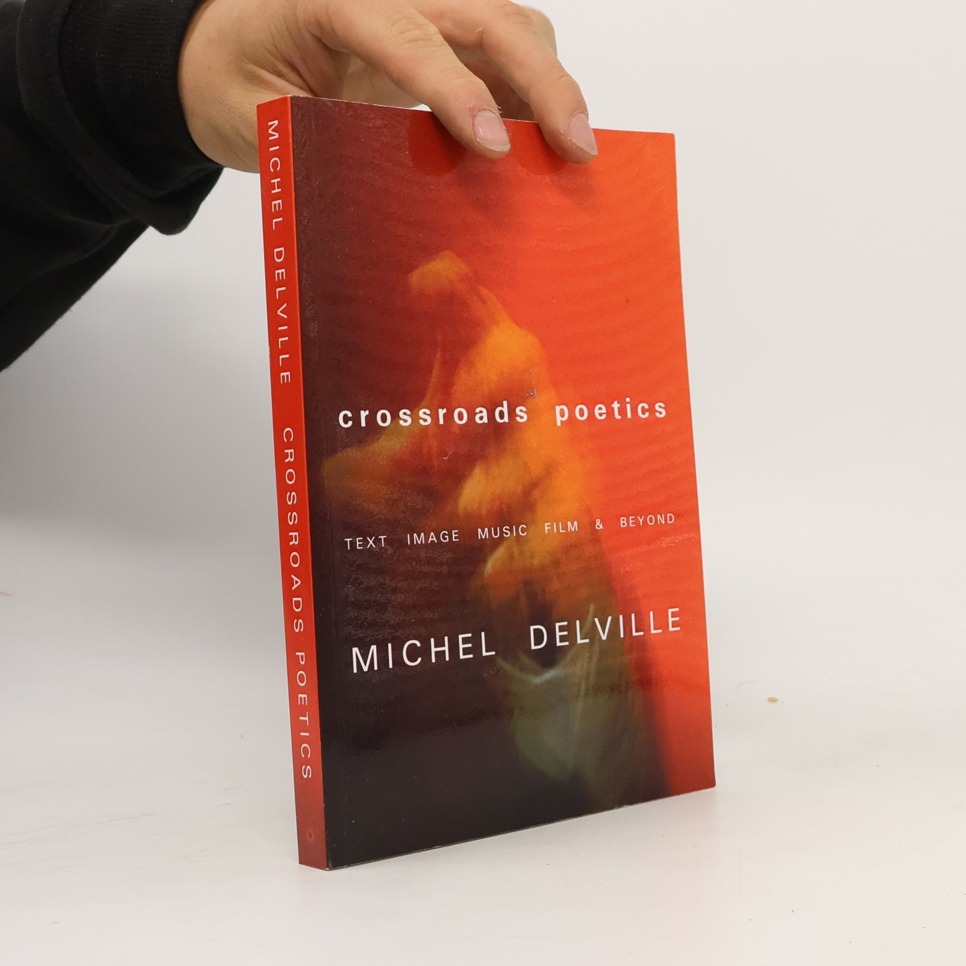 Michel Delville Crossroads Poetics