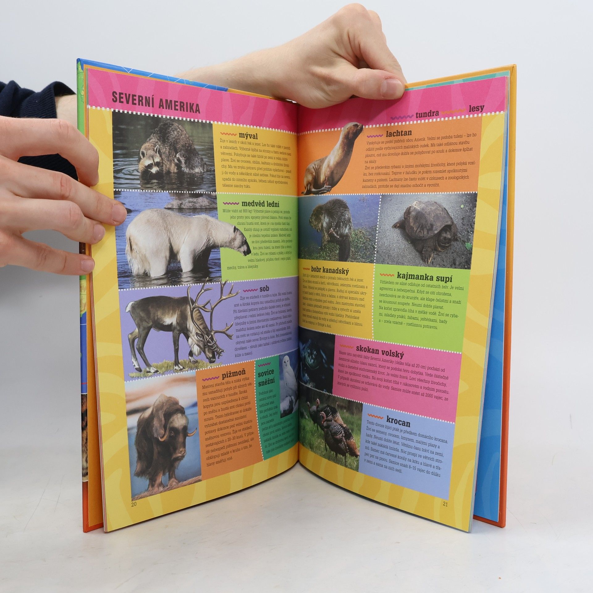Ewa Miedzińska Atlas zvířat pro děti