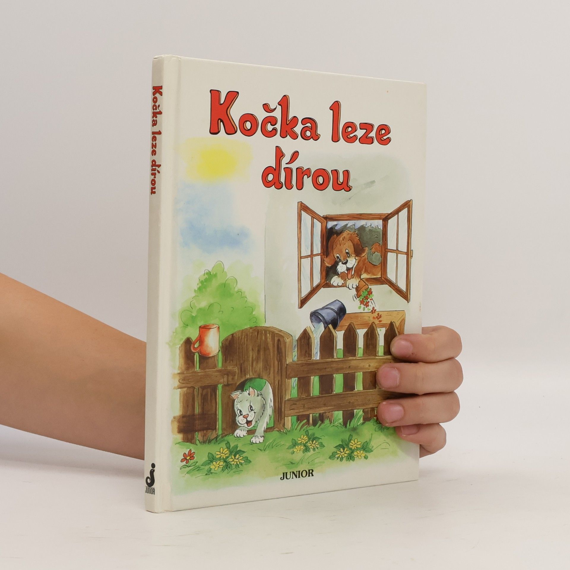 Vladimíra Vopičková Kočka leze dírou