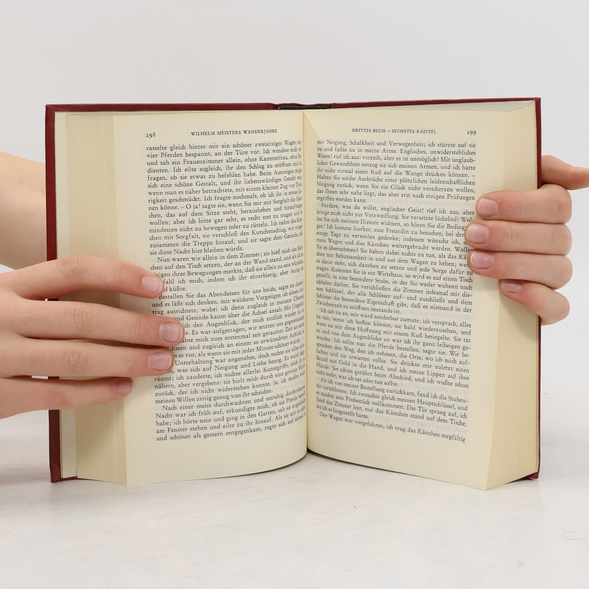 Johann Wolfgang von Goethe Werke 5