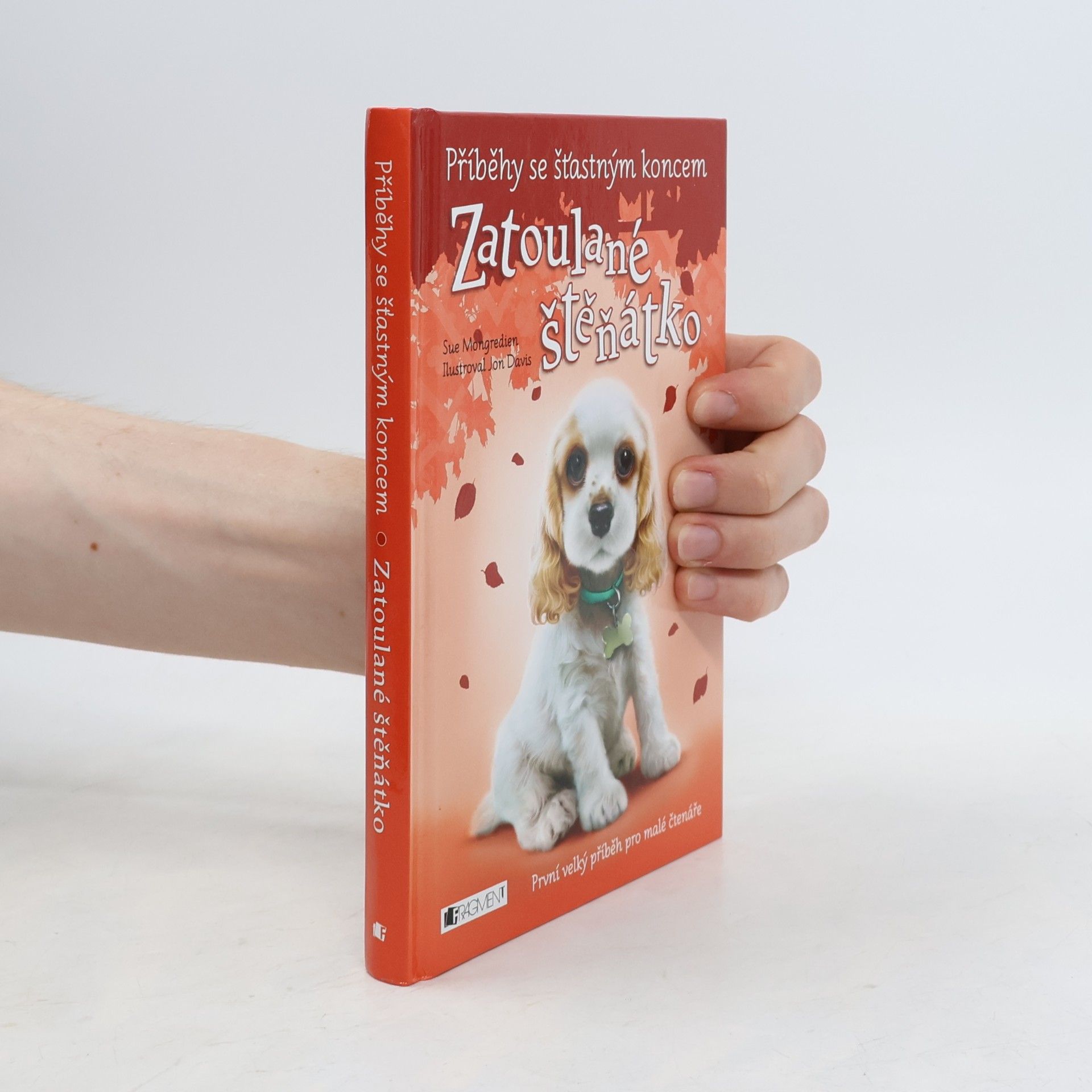 Lucy Diamond Zatoulané štěňátko