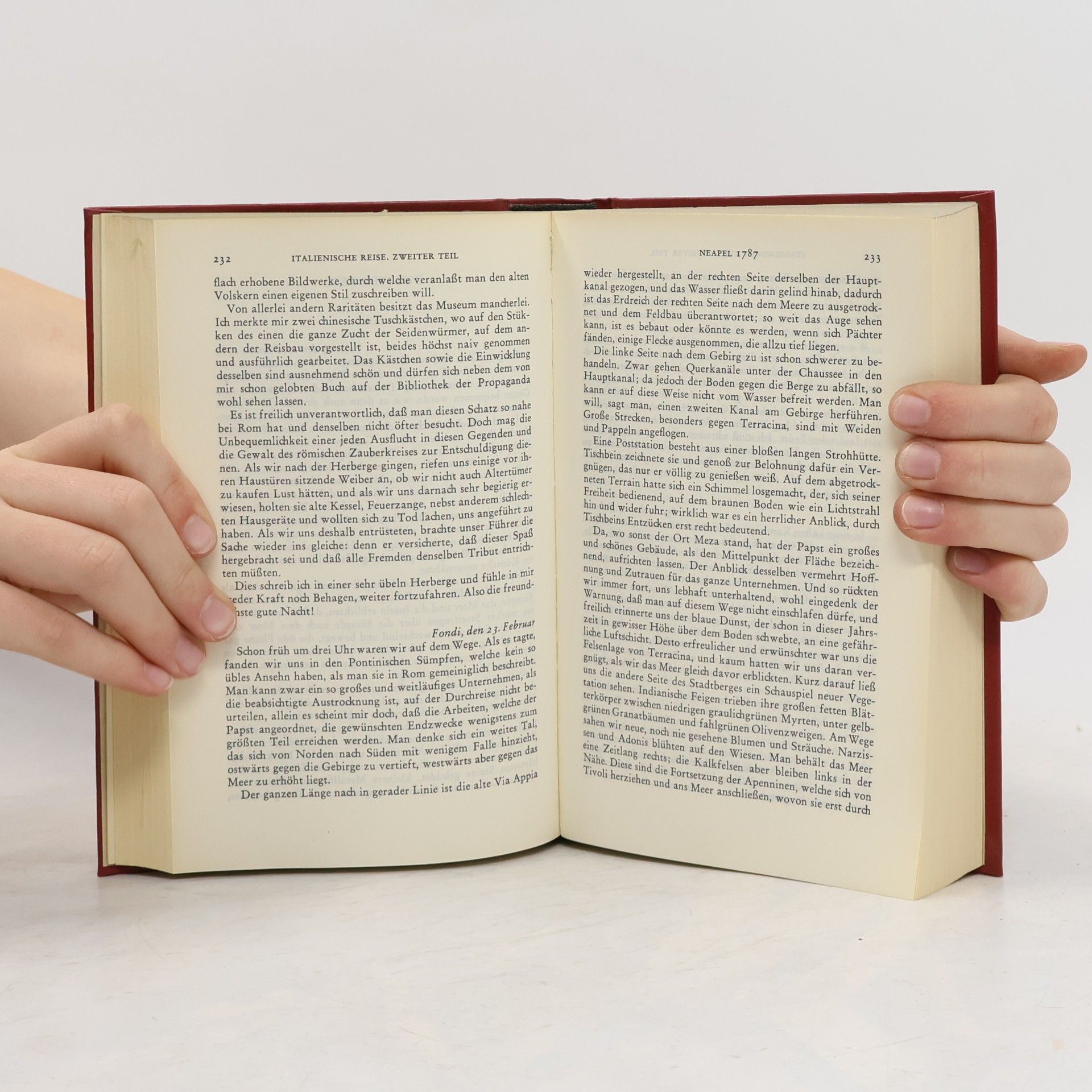 Johann Wolfgang von Goethe Werke 7