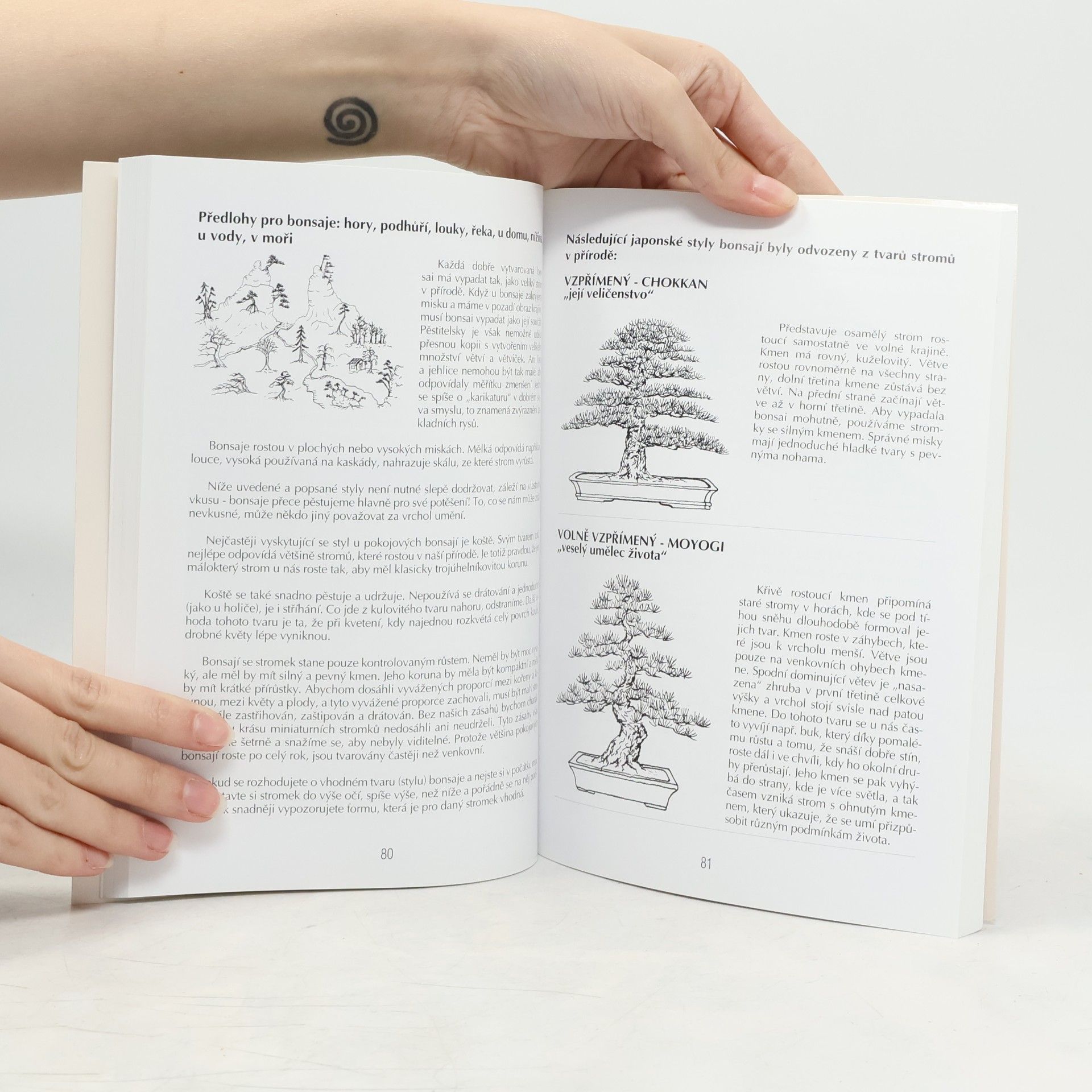 Jaroslav Pišl Bonsai nejen v paneláku