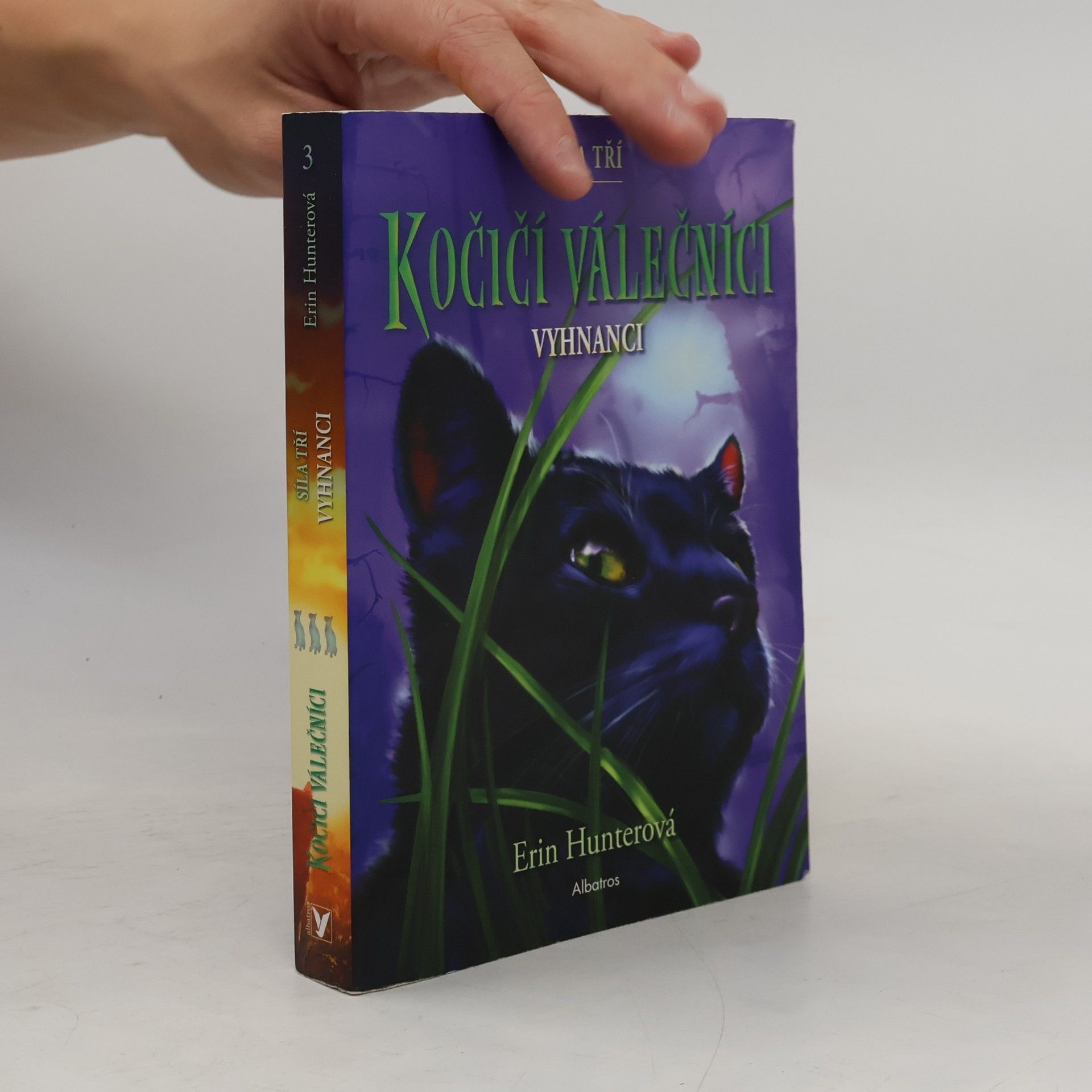 Erin Hunter Kočičí válečníci: Síla tří (3) – Vyhnanci