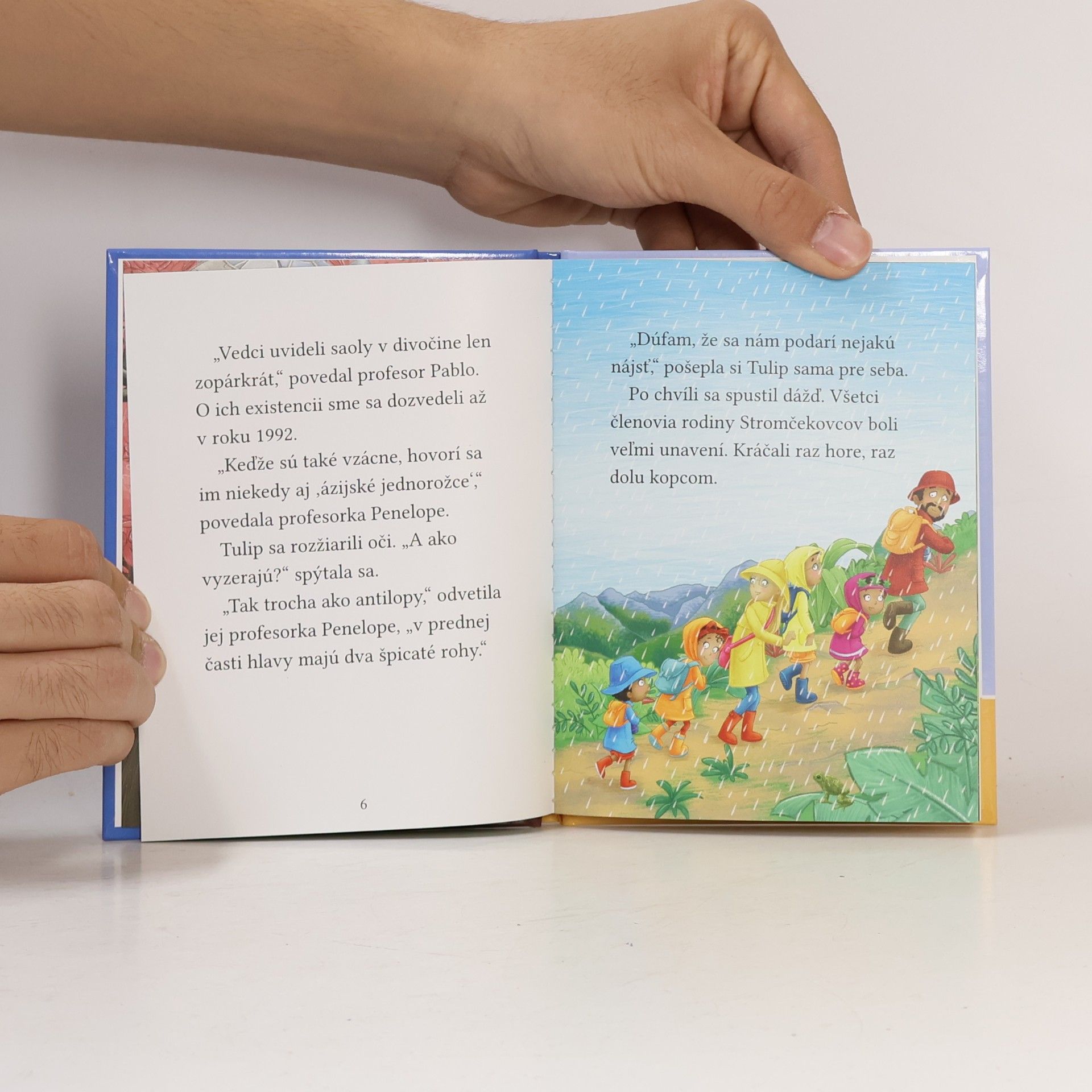 Cressida Cowell Stromovic dvojčata a jejich dobrodružství v divočině. Dvojčata hledají saolu