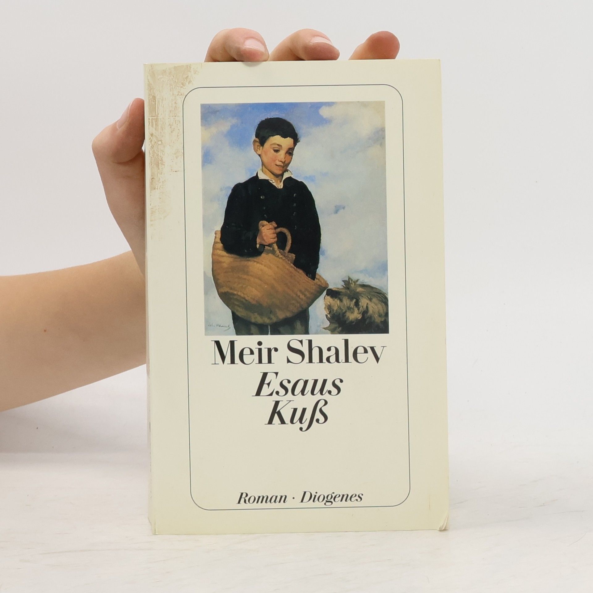 Meir Shalev Esaus Kuß