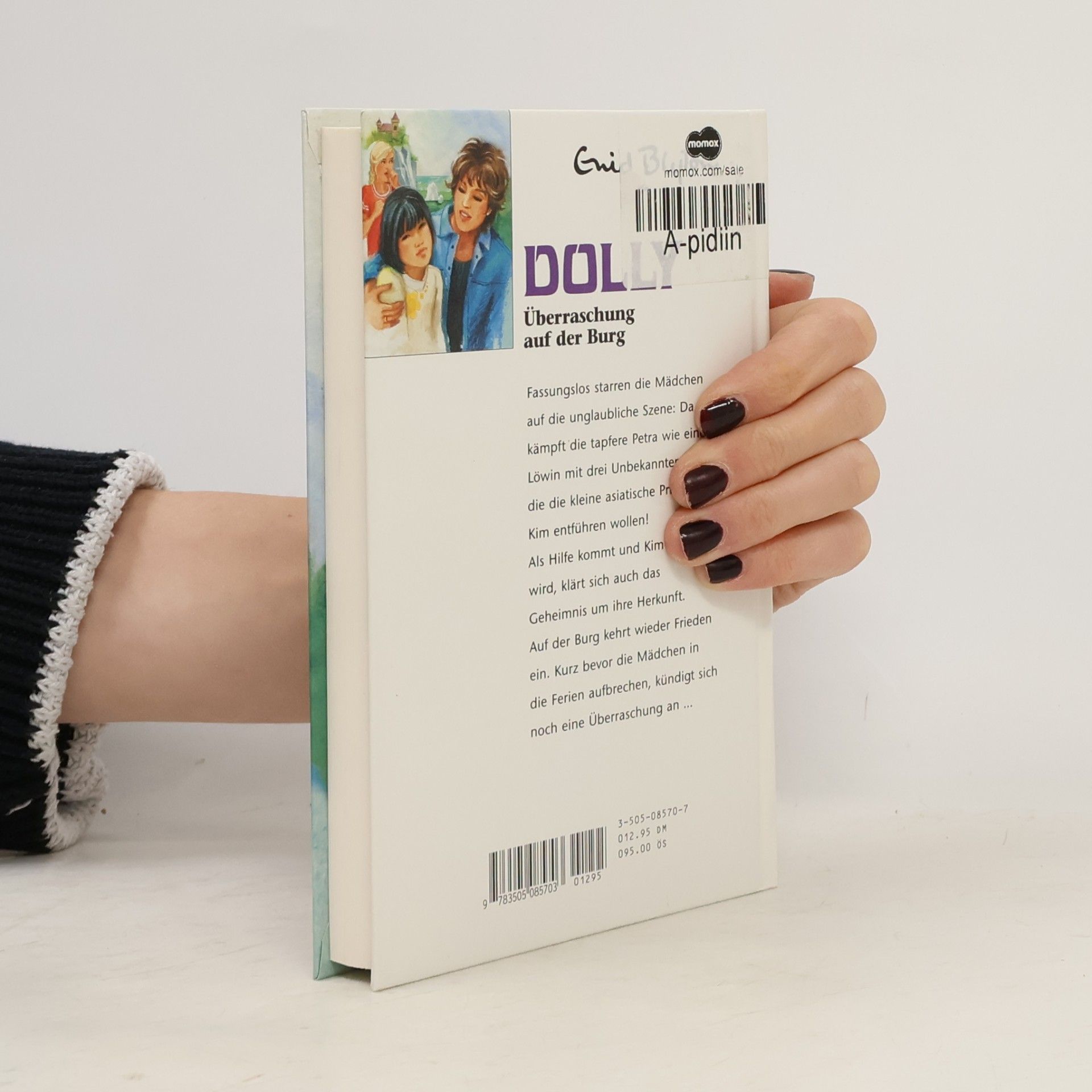 Enid Blyton Dolly 13. Überraschung auf der Burg