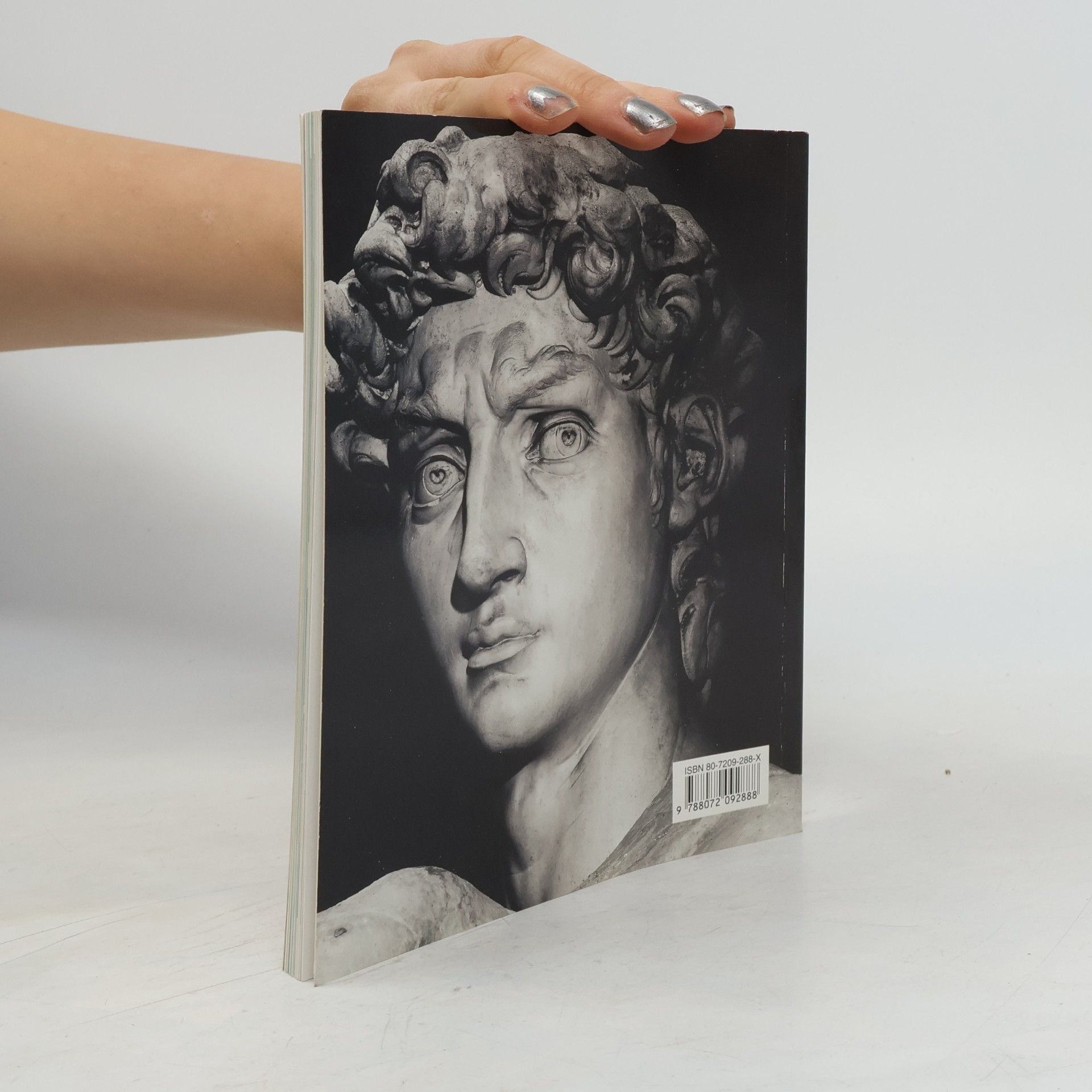 Alexandra Grömling Michelangelo Buonarroti : život a dílo