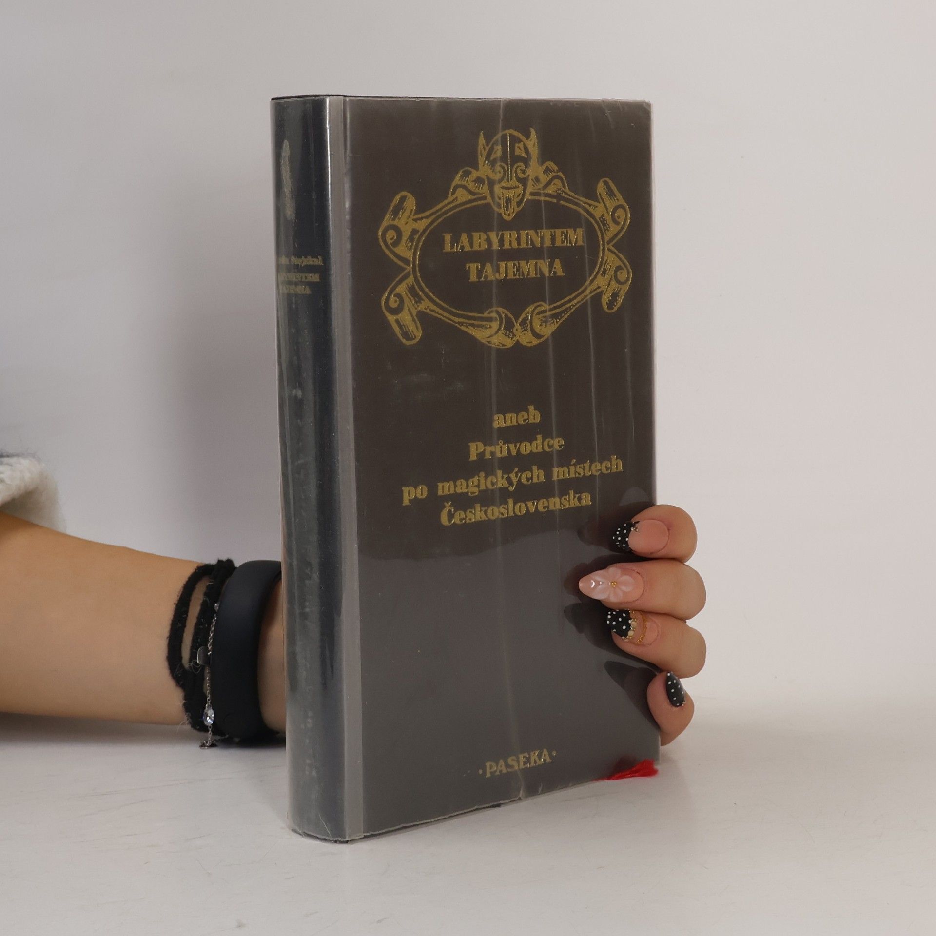 Kolektiv autorů Labyrintem tajemna, aneb, Průvodce po magických místech Československa