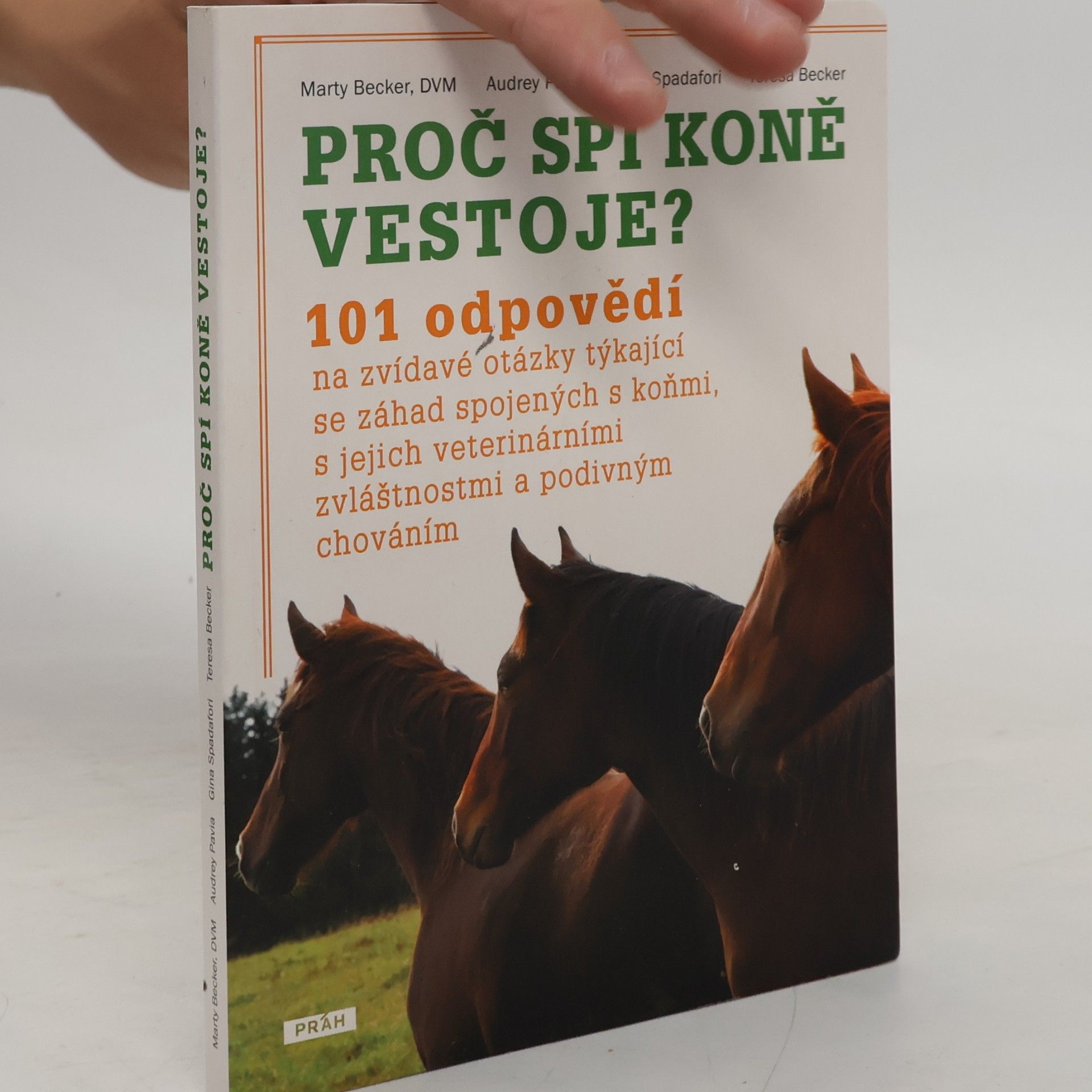 Marty Becker Proč spí koně vestoje?