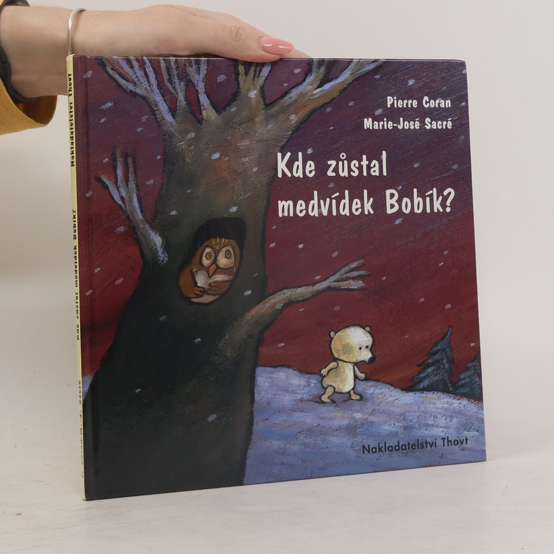 Pierre Coran Kde zůstal medvídek Bobík?