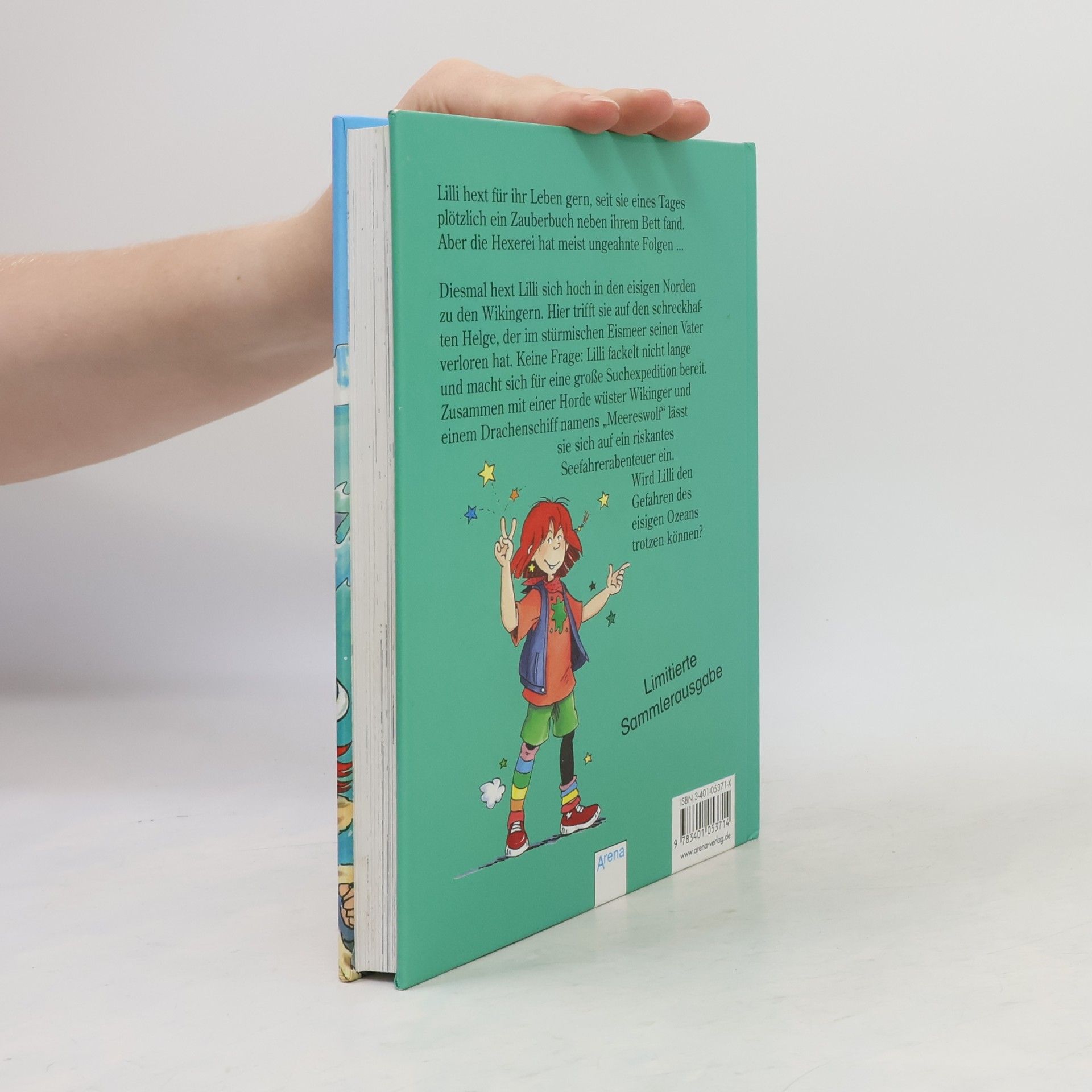 Brigit Rieger Hexe Lilli und der schreckhafte Wikinger