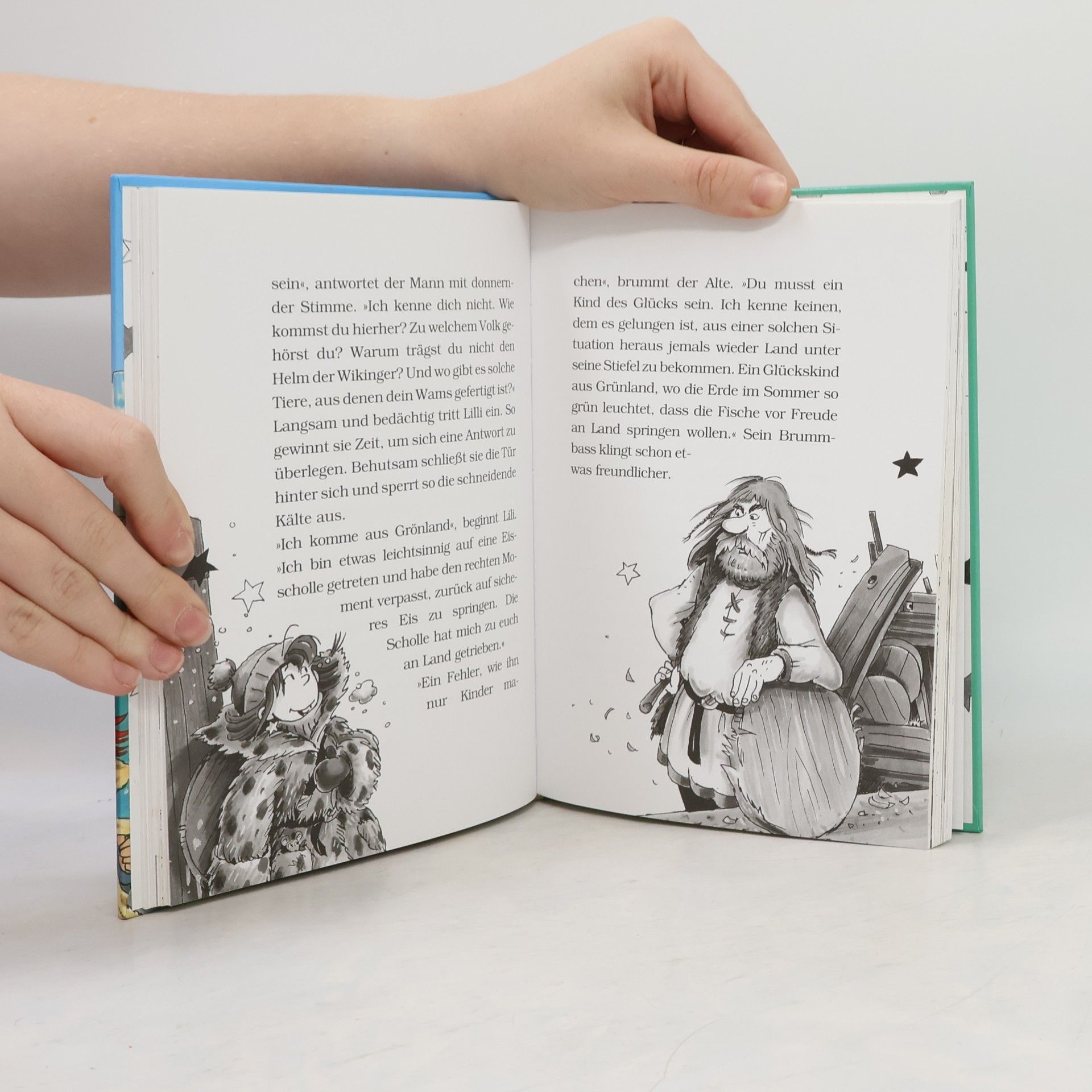 Brigit Rieger Hexe Lilli und der schreckhafte Wikinger