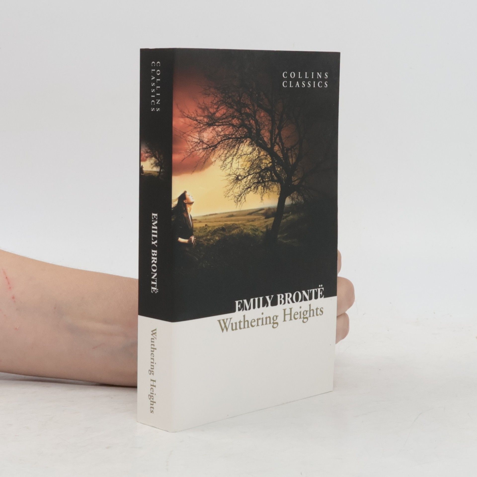 Emily Brontë Wuthering Heights