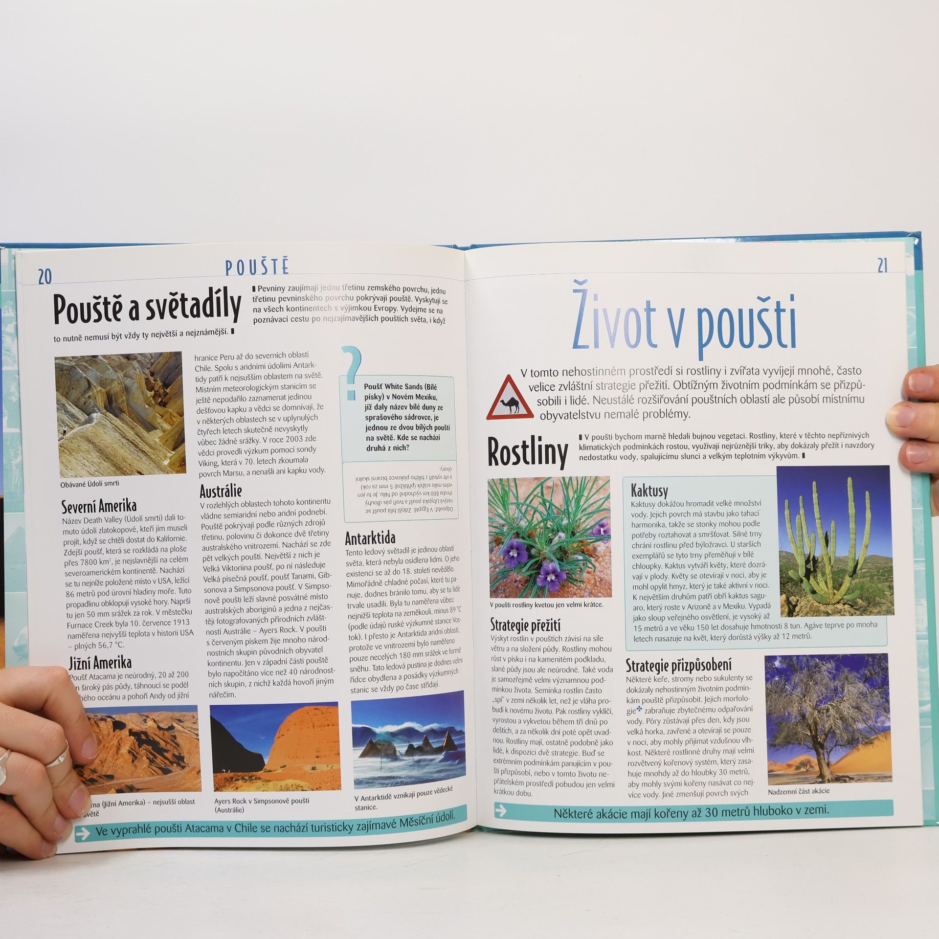 Kolektiv autorů Pouště