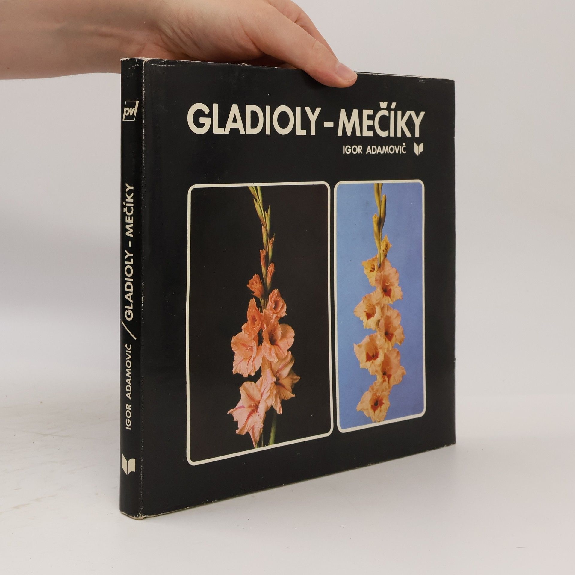 Igor Adamovič Gladioly-mečíky