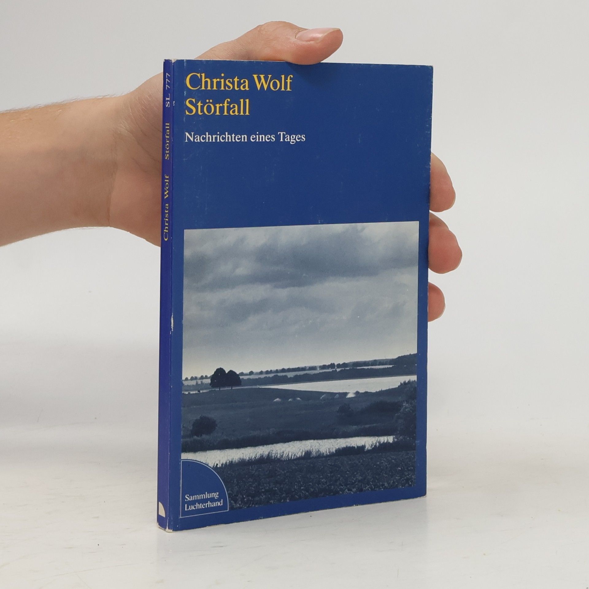 Christa Wolf Störfall