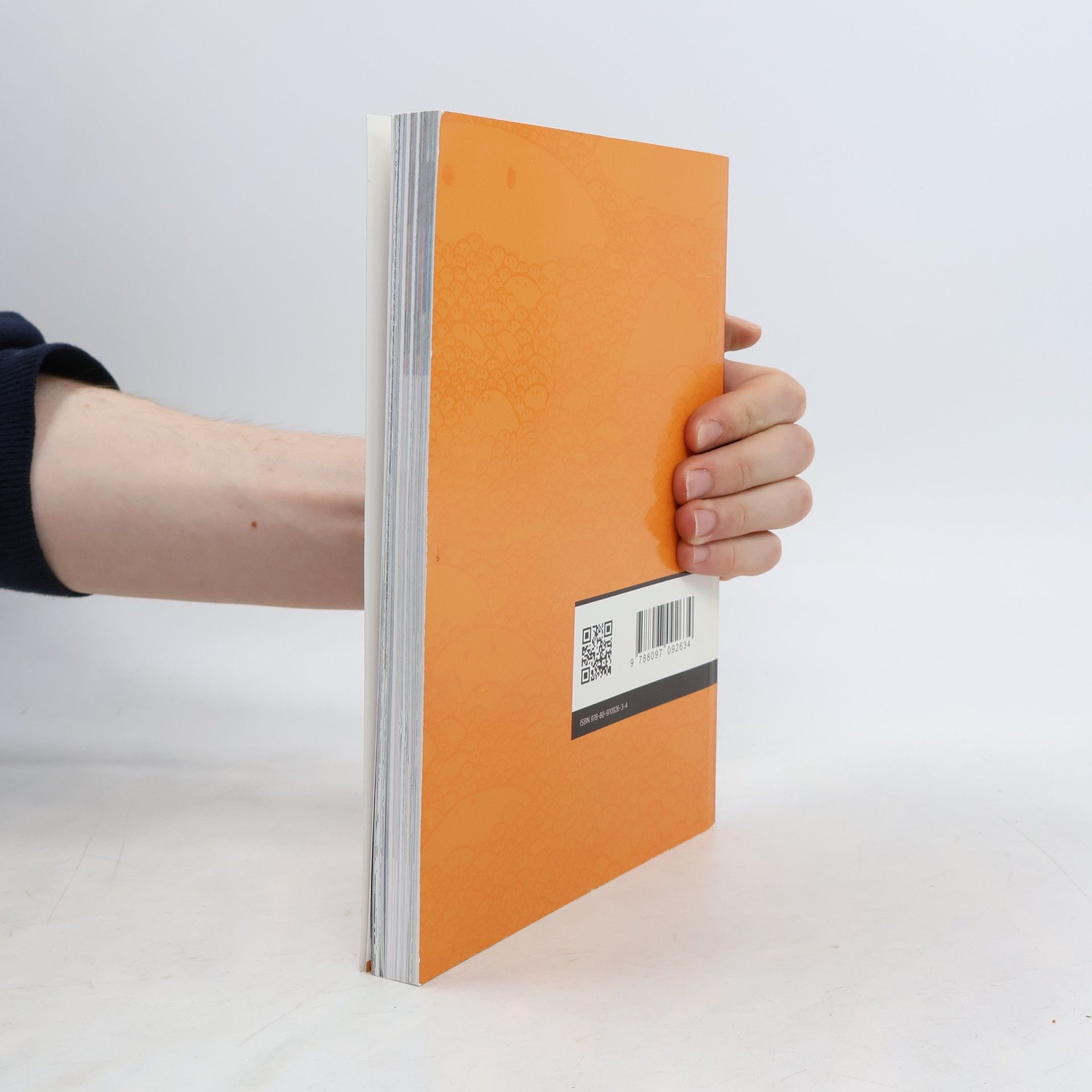 Autorenkollektiv Košice 2013. Európske hlavné mesto kultúry : interface pred a po konci sveta