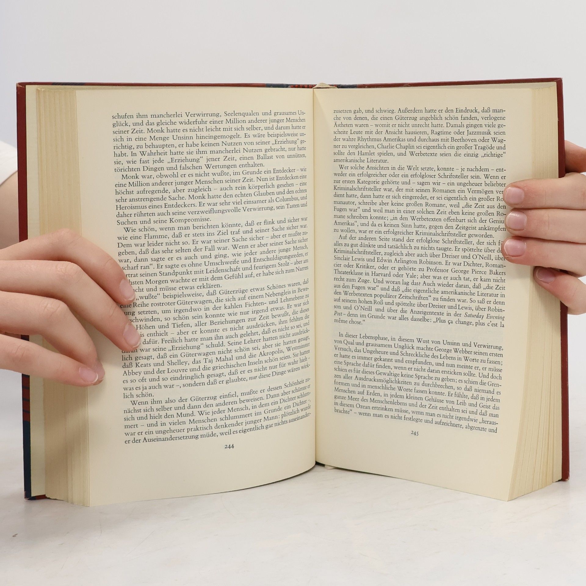 Thomas Wolfe Geweb und Fels