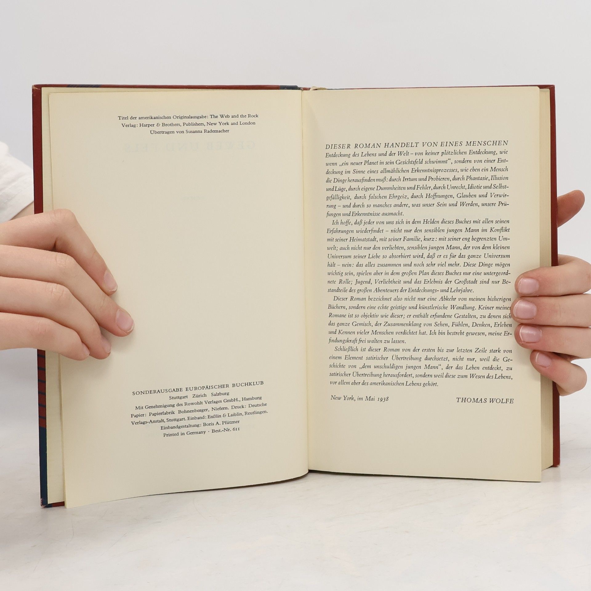 Thomas Wolfe Geweb und Fels