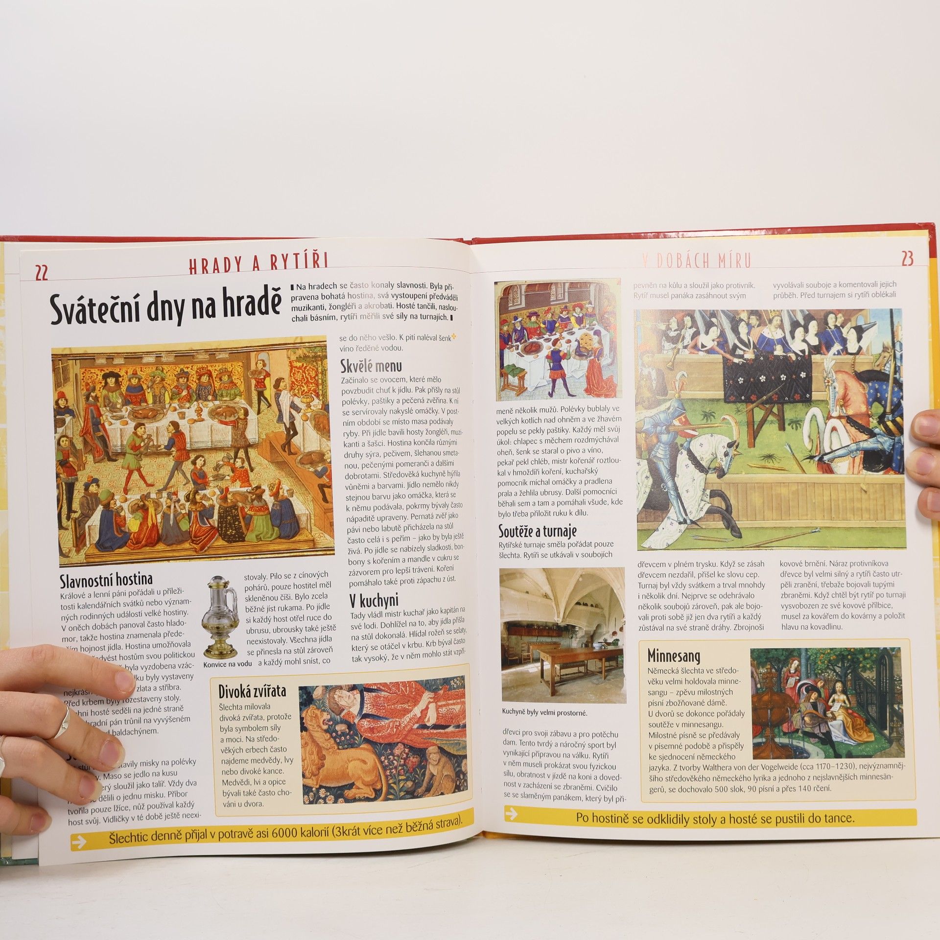 Autorenkollektiv Atlas pro mládež. Historie. Hrady a rytíři