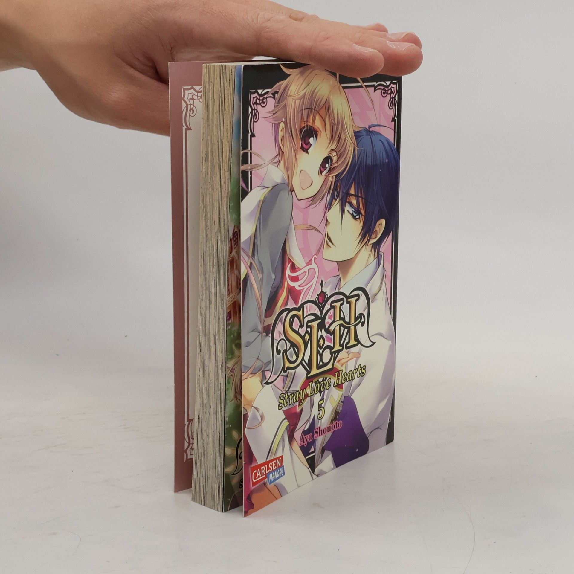 Aya Shōoto Stray love hearts 5