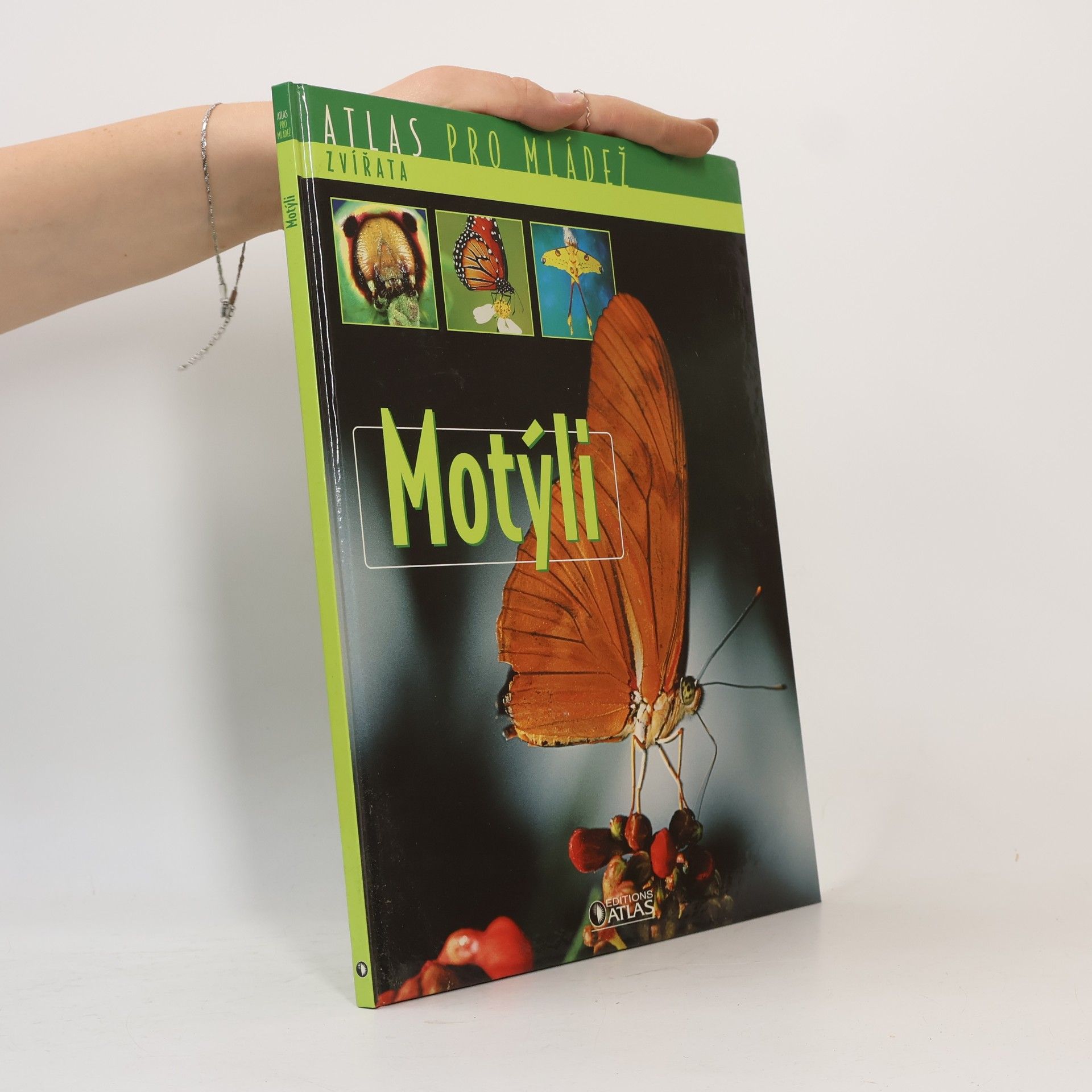 kolektiv Motýli